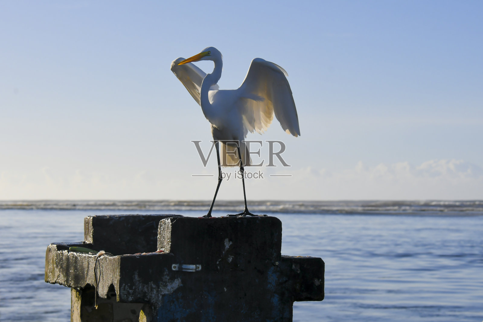 强大的照片摄影图片