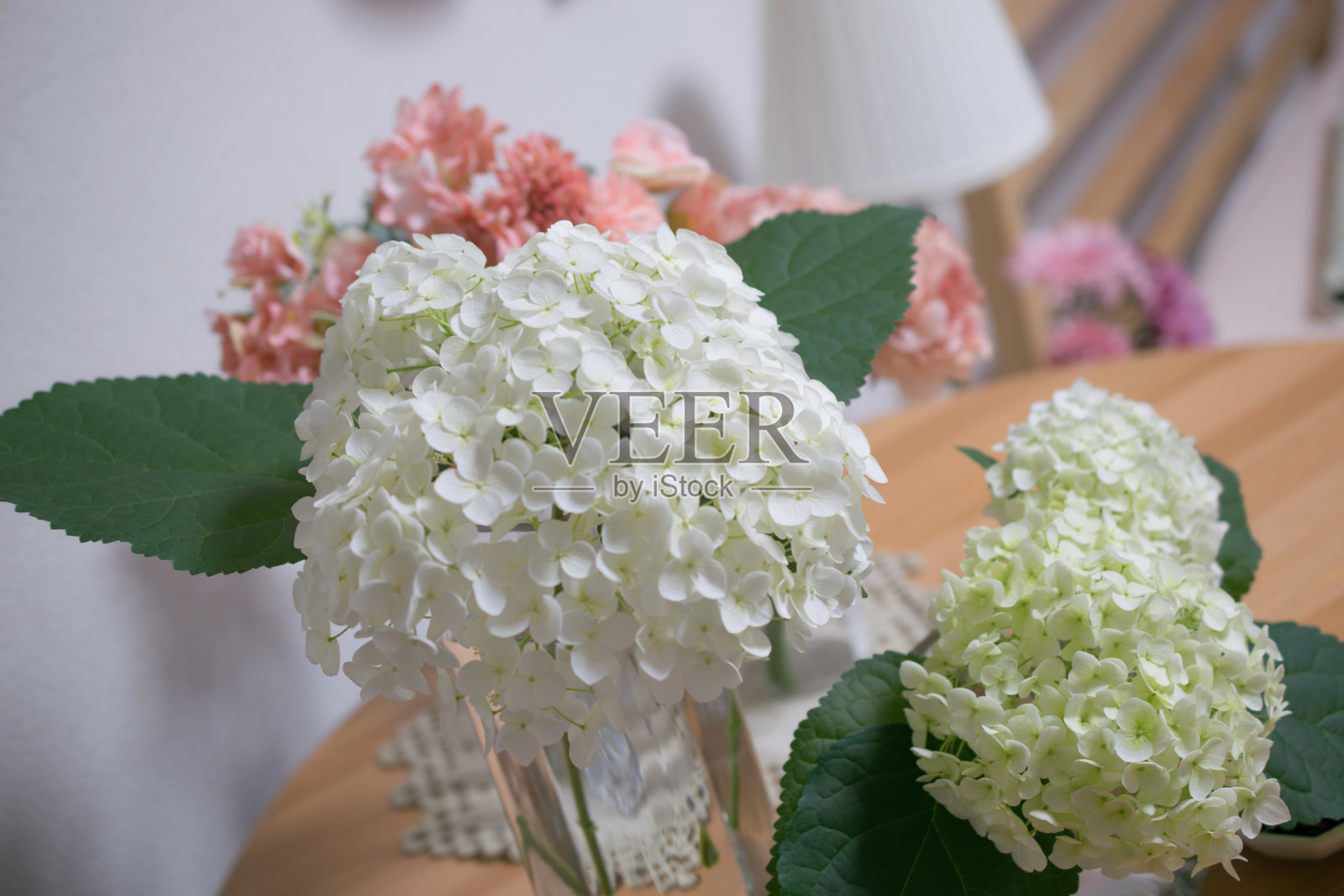 美丽的绣球花摆放在桌子上的花瓶里，在室内拍摄照片摄影图片