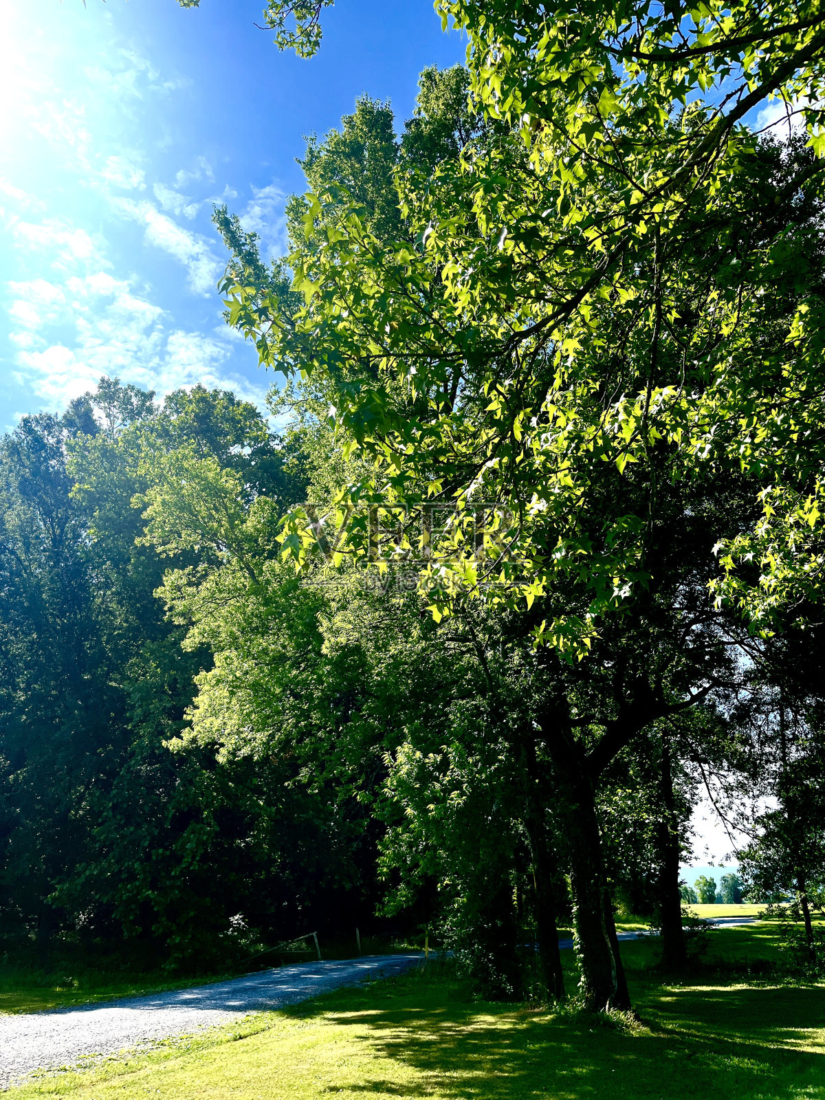 上帝的创造照片摄影图片