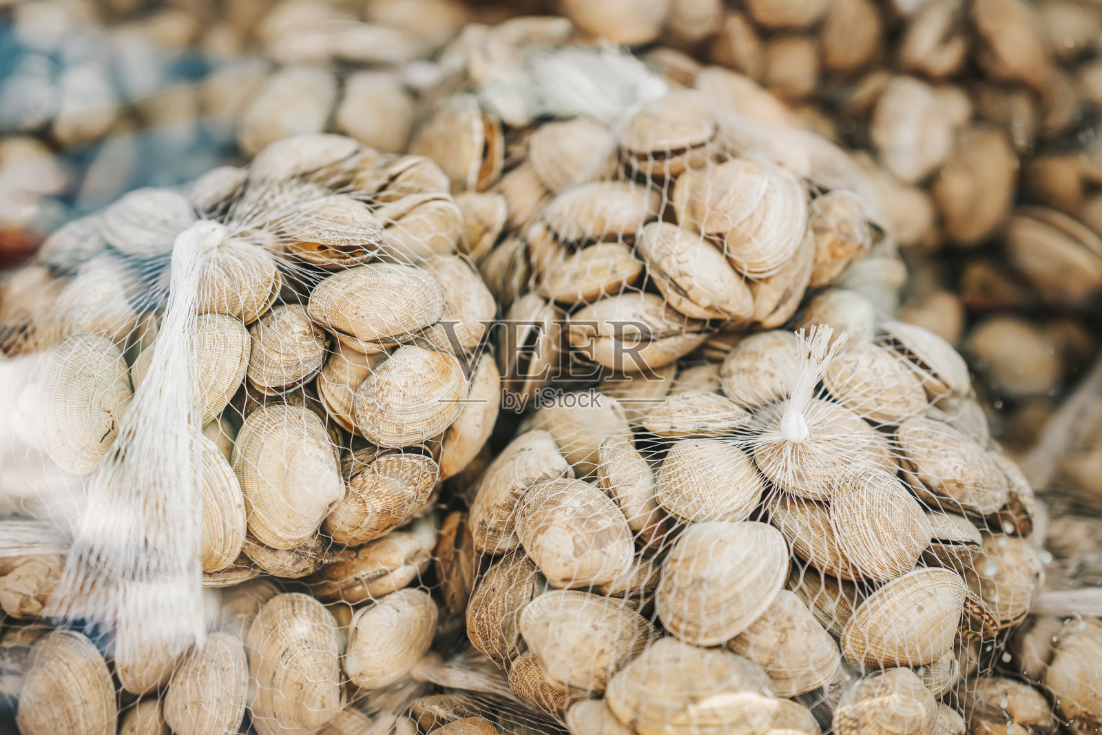 用网包装出售的蛤蜊。海鲜超市里的海鲜销售，玻璃后面的食品市场里的真实场景。软焦点照片摄影图片