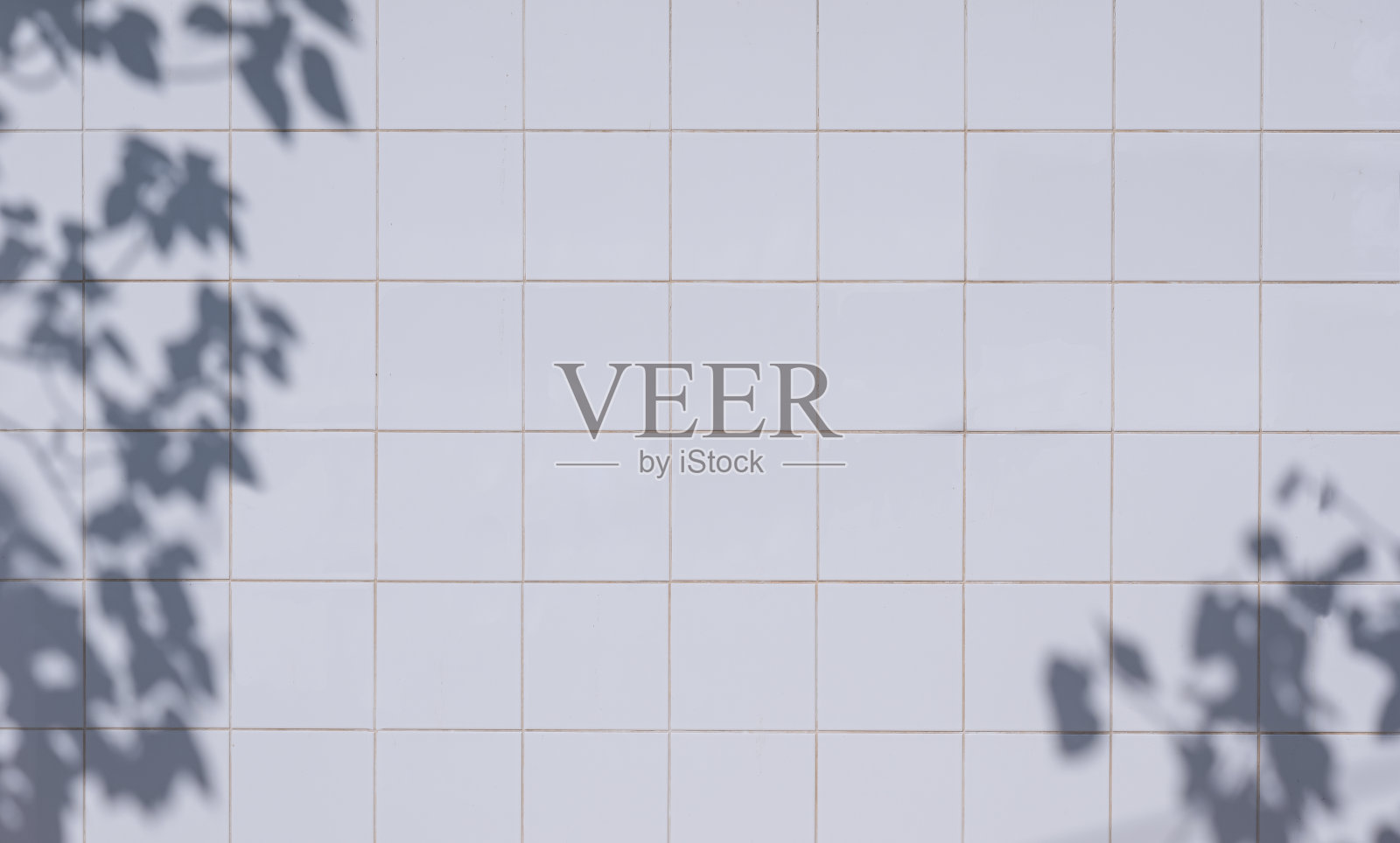 方形白色瓷砖墙背景与阳光和树枝阴影的表面照片摄影图片