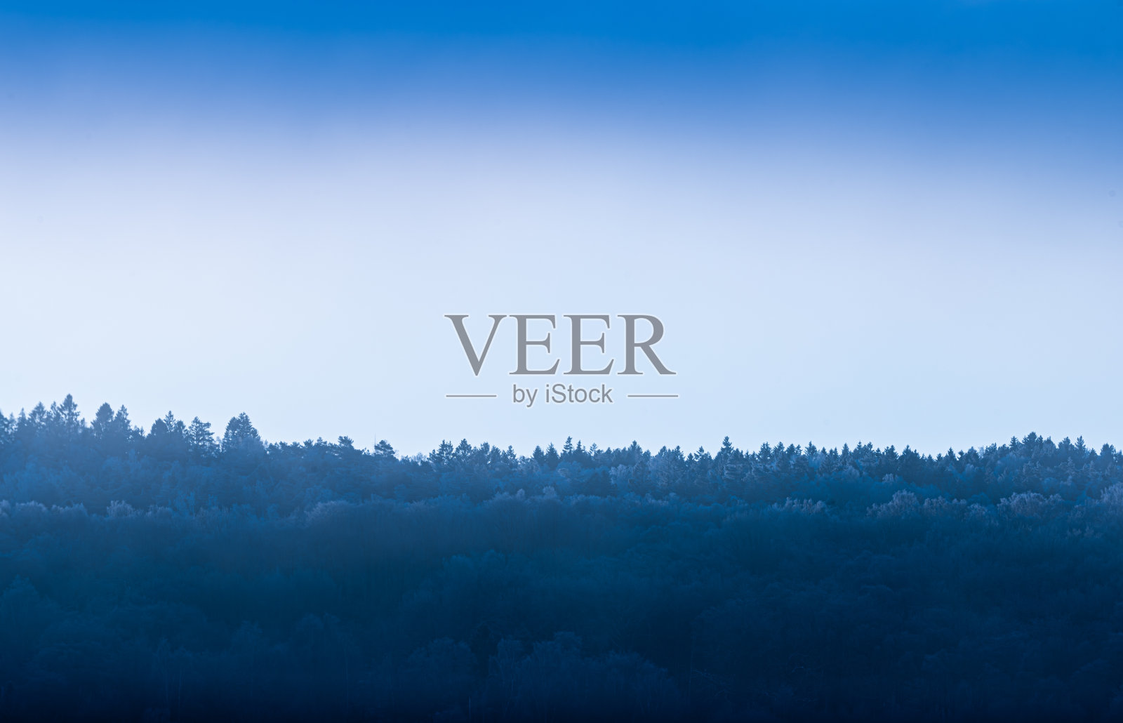 晨曦中的雪笼罩着森林。照片摄影图片