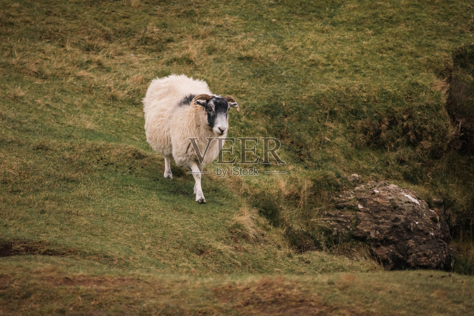 斯凯岛照片摄影图片