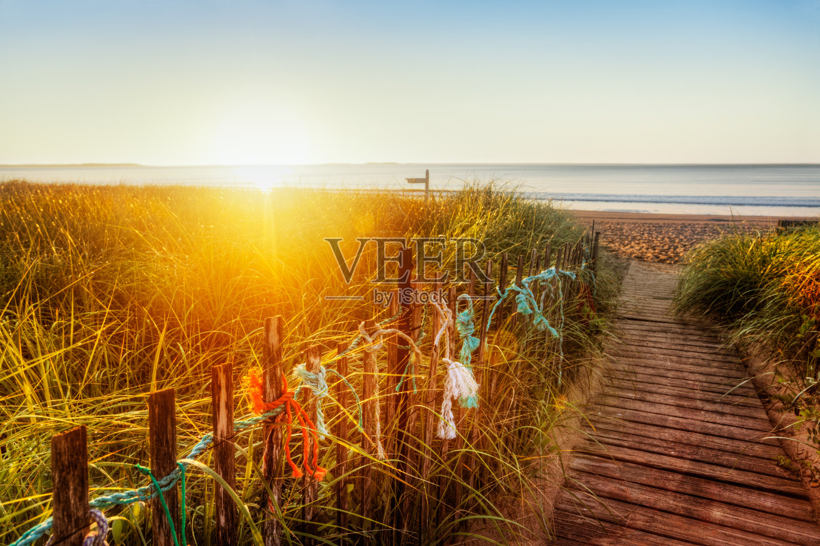 缅因州海滩上的阳光照片摄影图片