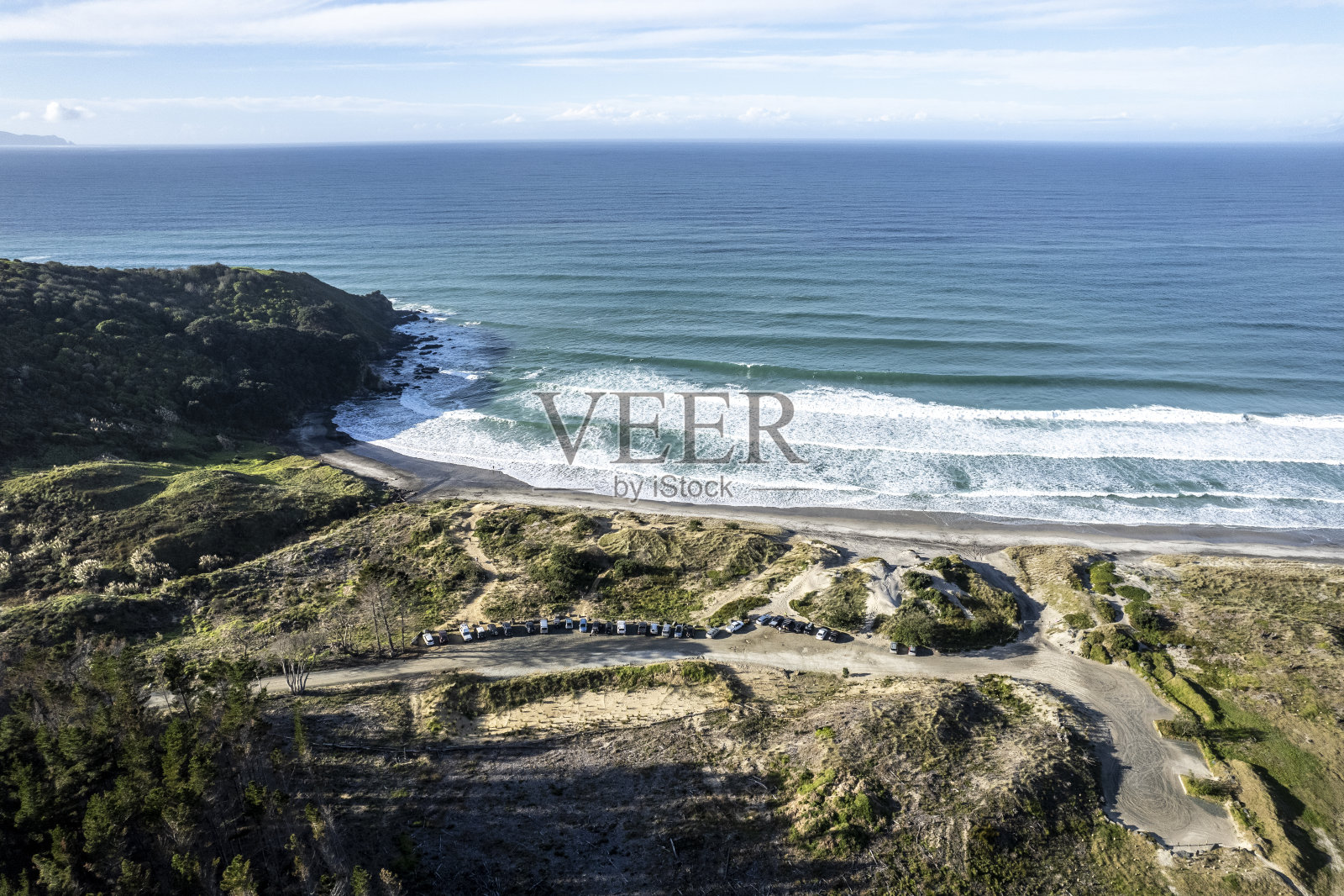 森林海滩，新西兰照片摄影图片