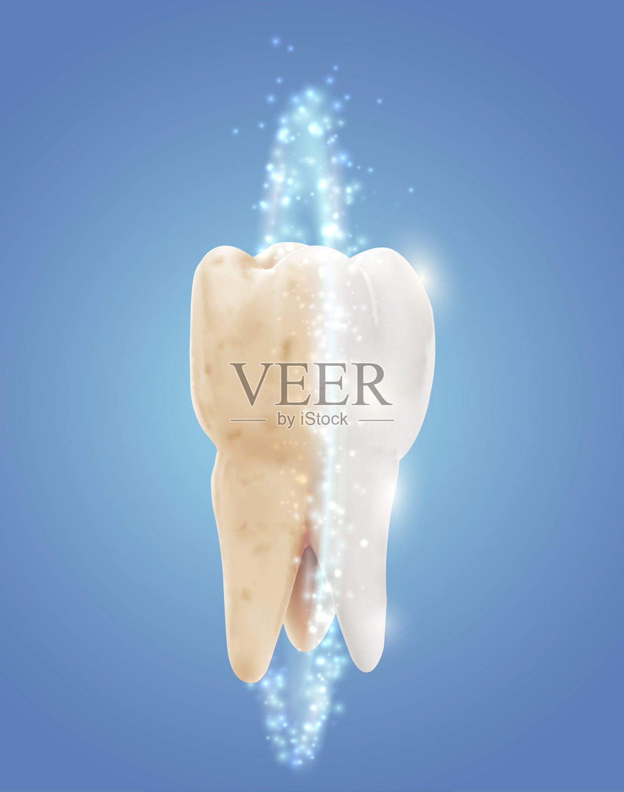 矢量臼齿。美丽和健康。牙齿清洁和个人护理插画图片素材