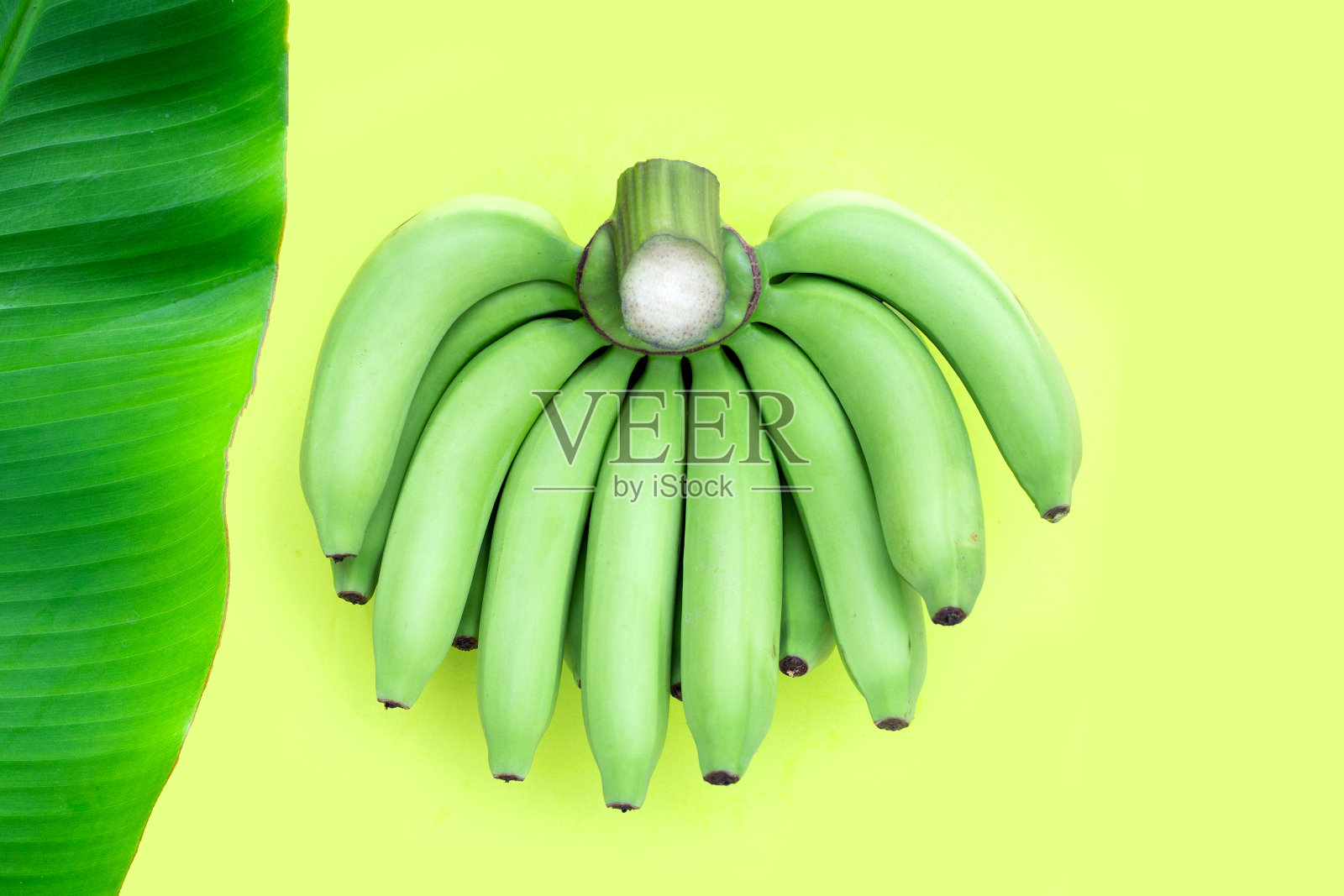 绿背景上的绿香蕉照片摄影图片