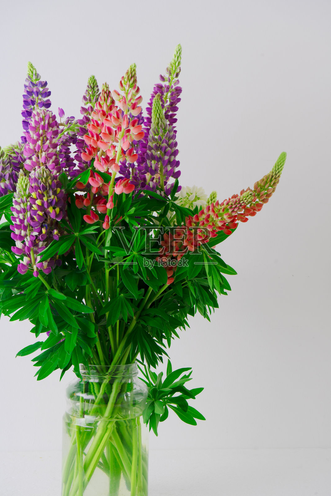 篮子里的一束羽扇豆。在灰色的背景上，有粉红色和紫色的夏季花。羽扇豆花蕾。夏日花香背景照片摄影图片