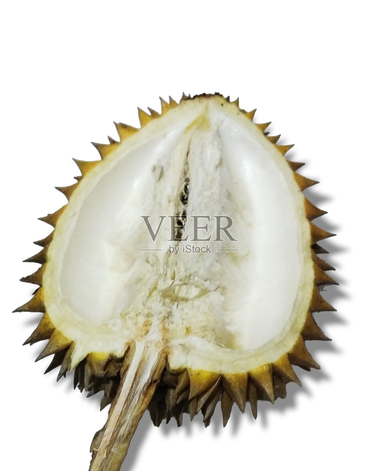 拍摄物体照片水果榴莲照片摄影图片