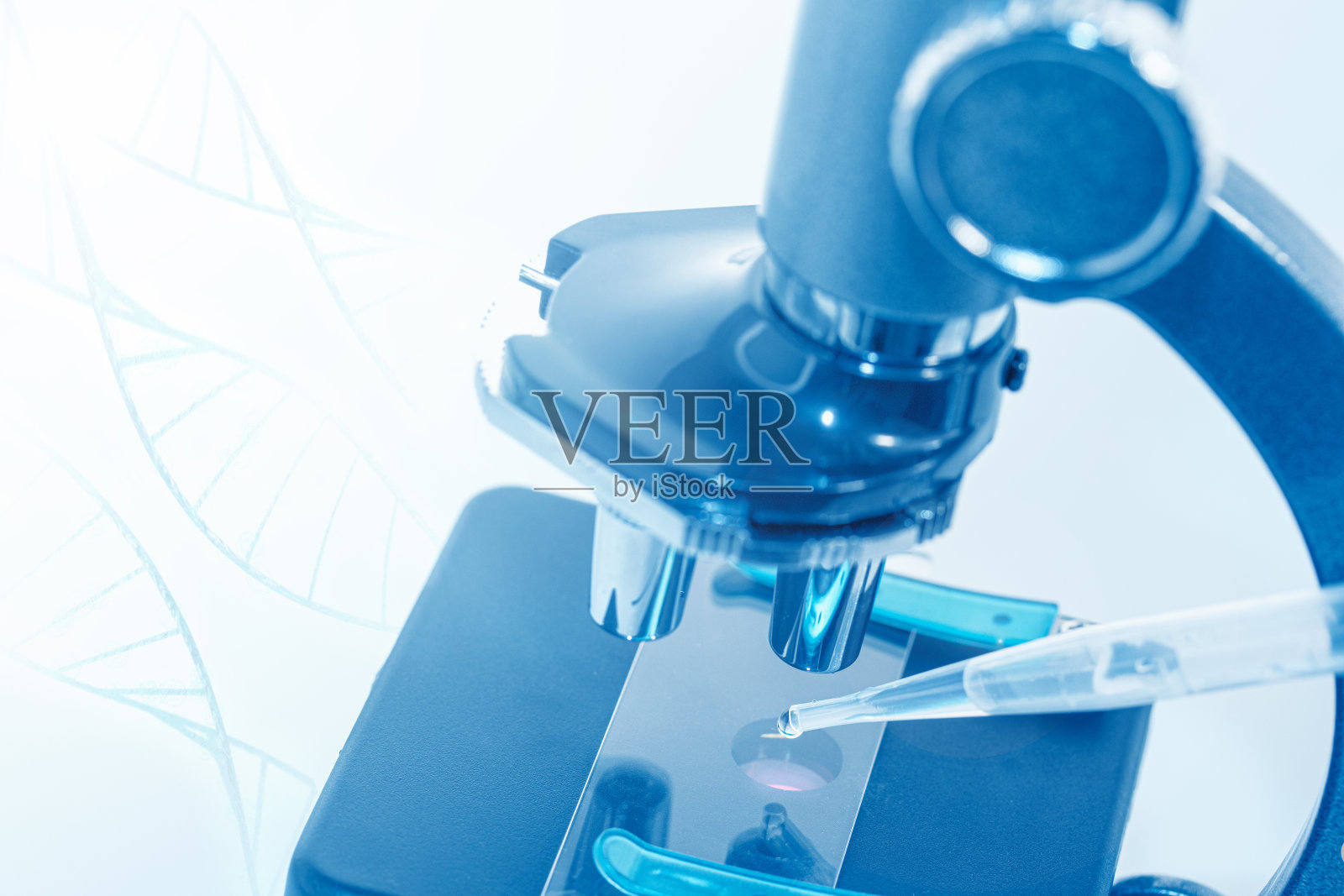 带样品的显微镜照片摄影图片