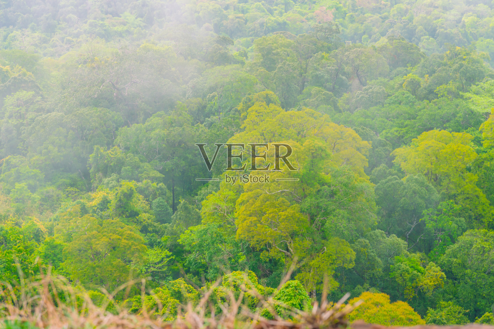 自然的背景与山上的雾。在农村的雨天。冬天。拯救世界的理念。照片摄影图片