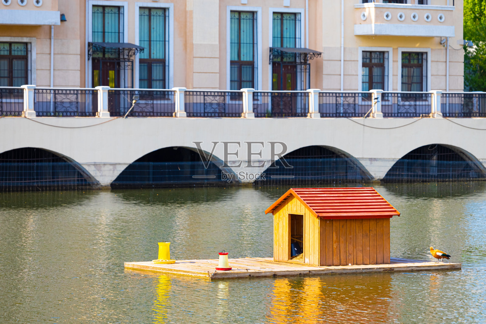 池塘上鸟儿的浮屋。照片摄影图片