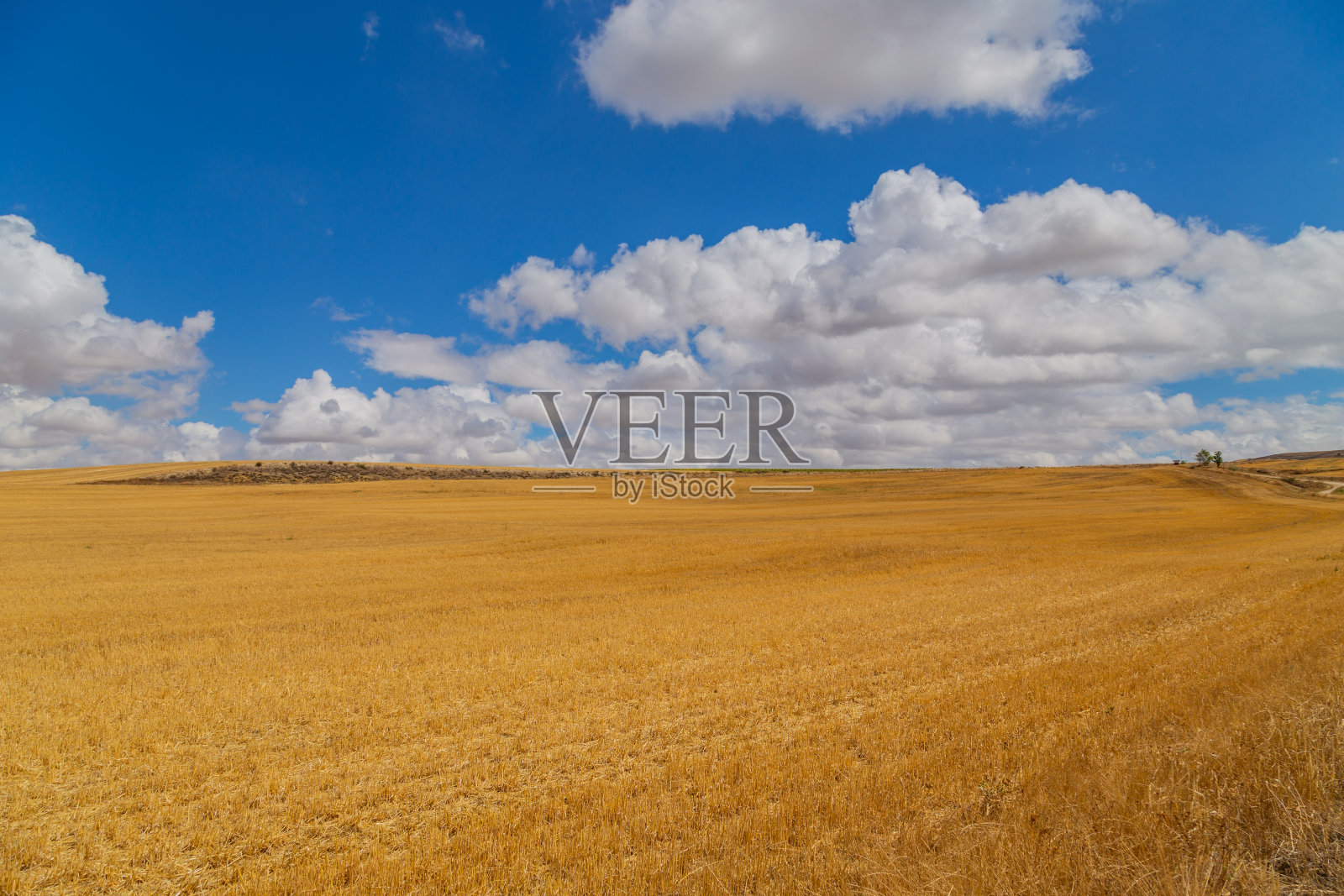 西班牙农田的景色照片摄影图片