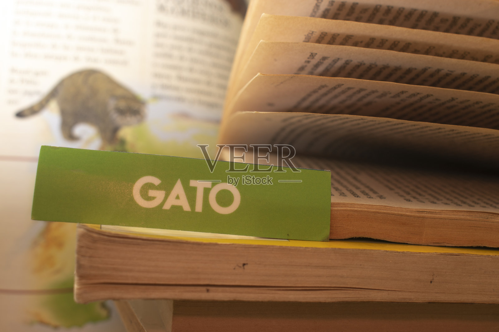 阅读不同主题的书籍照片摄影图片