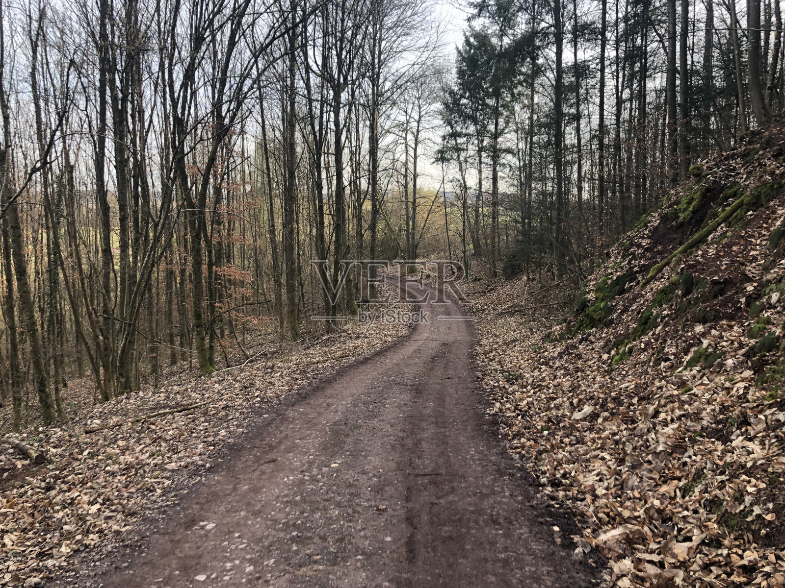 在法国乡村徒步旅行照片摄影图片