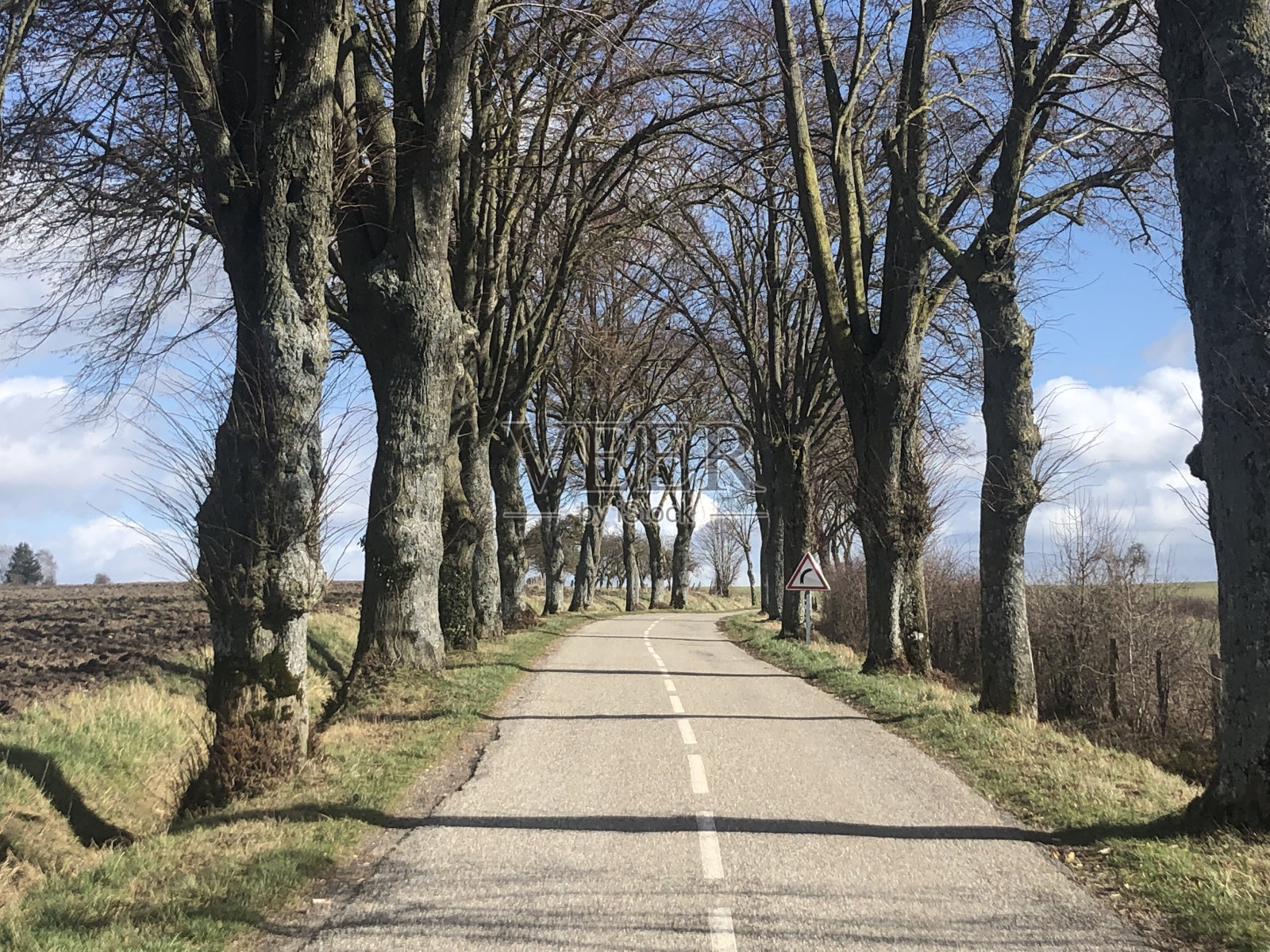 乡间小路照片摄影图片