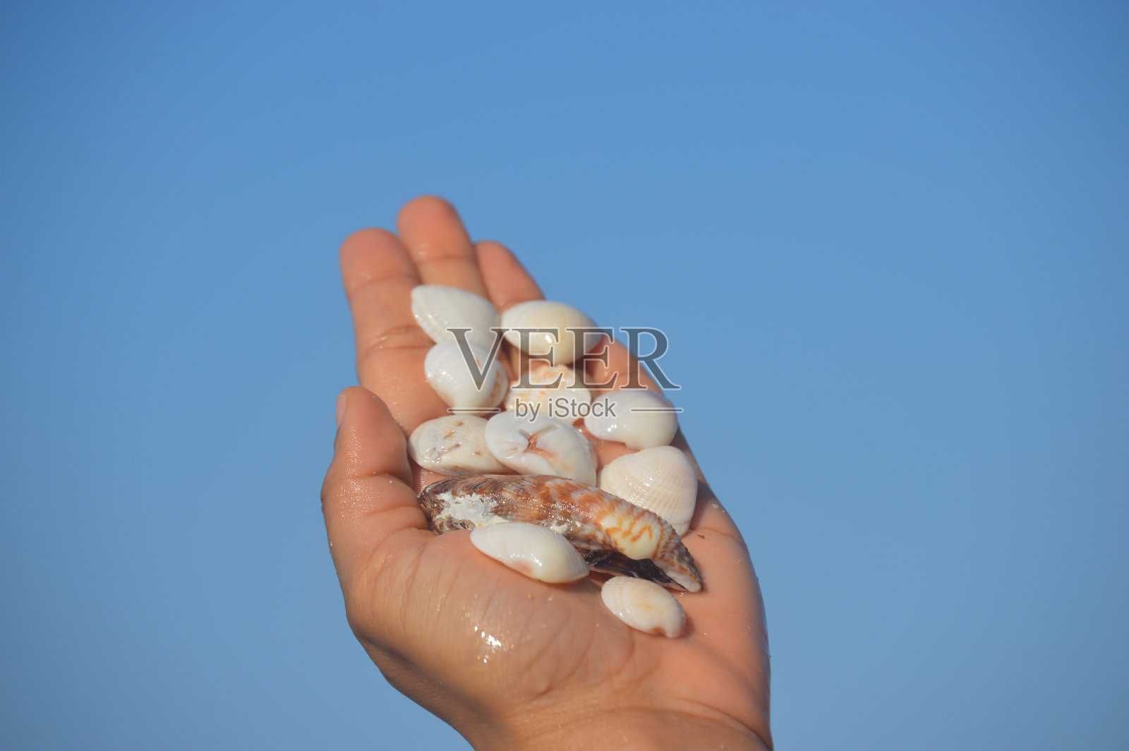 蜗牛在手照片摄影图片