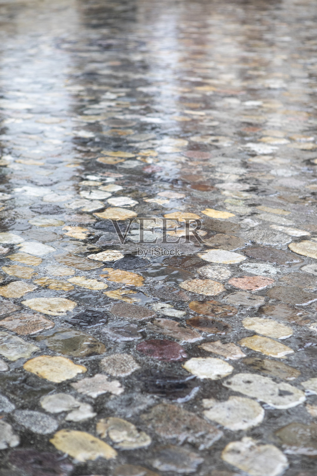 潮湿的鹅卵石照片摄影图片