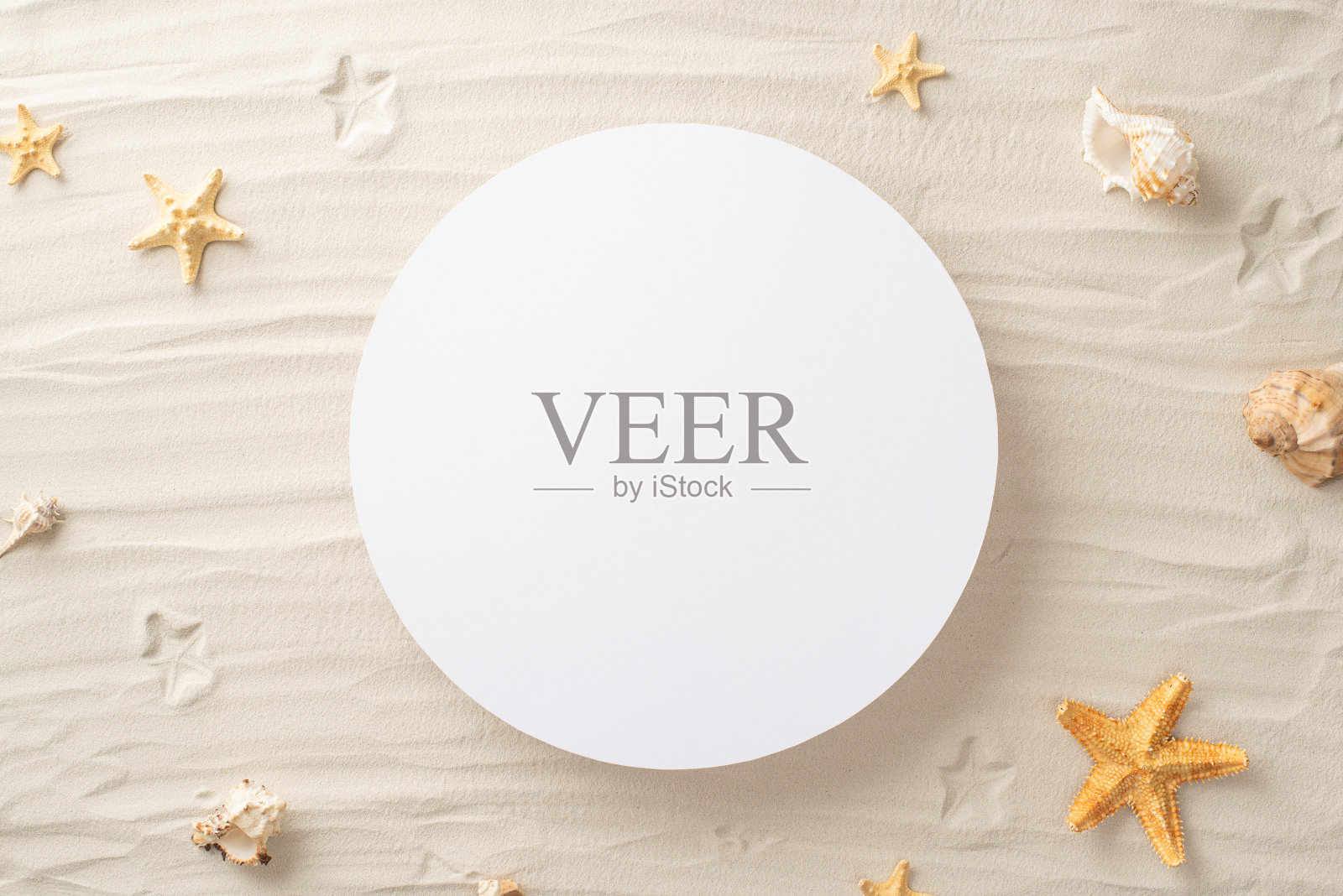 夏日休闲的俯视图。沙滩上的贝壳和海星。空圈等待个性化信息或广告照片摄影图片