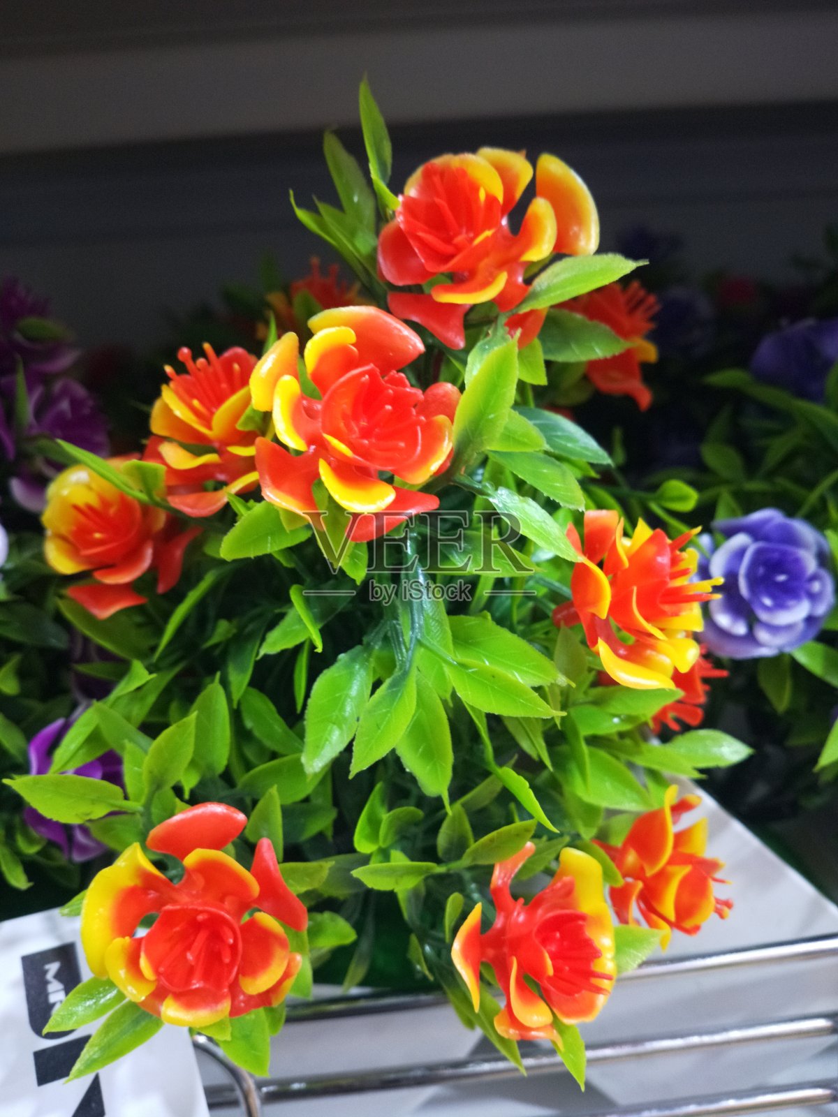 人造塑料花之美照片摄影图片