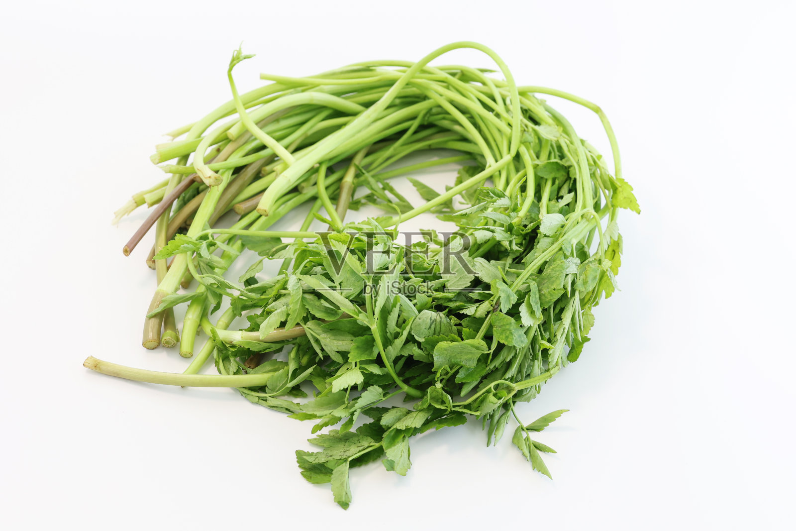 鲜绿色草本蔬菜烹饪食品原料白色背景照片摄影图片
