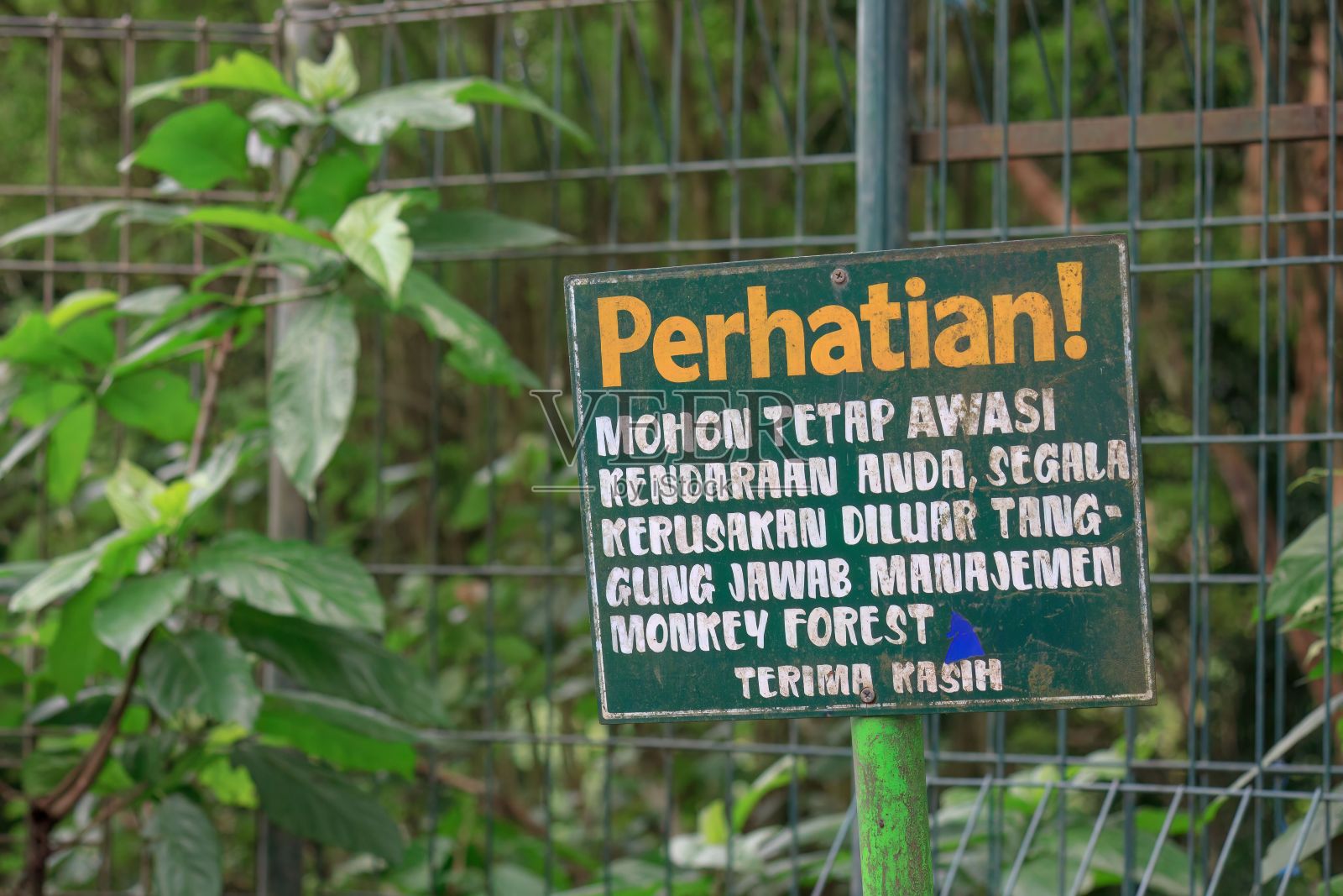 用巴厘语写的告示牌，警告游客在禁林中潜伏着危险。照片摄影图片