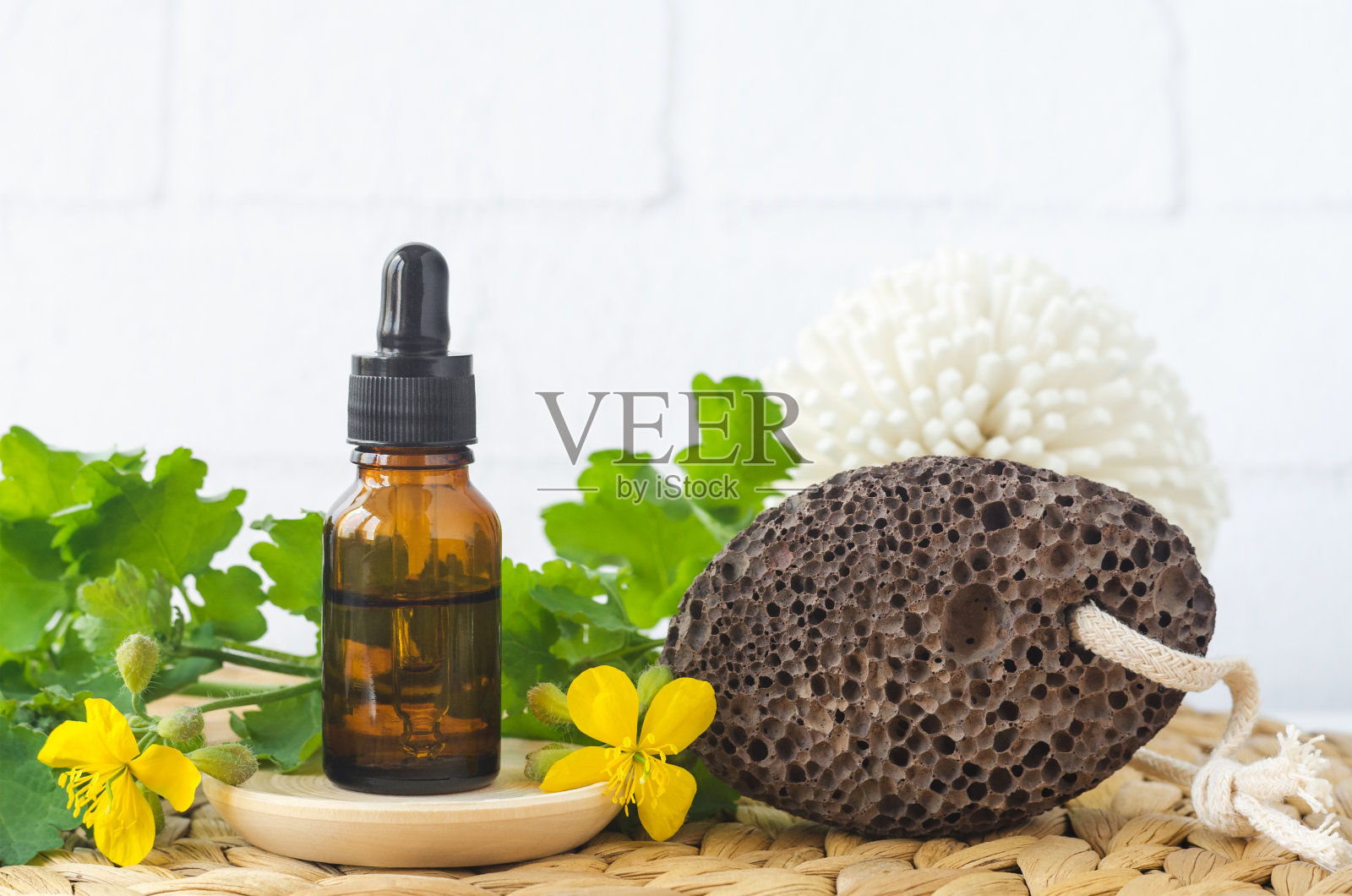 小瓶大白屈碱输液(草药酊剂，提取物，油)和火山浮石。芳香疗法，自制足底疣疗法和草药成分。照片摄影图片