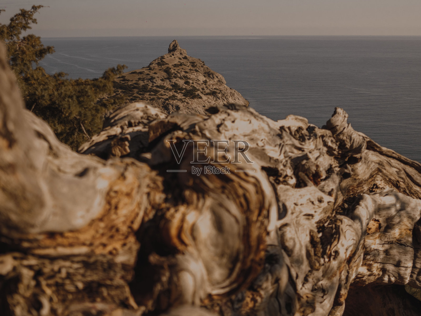 木照片摄影图片