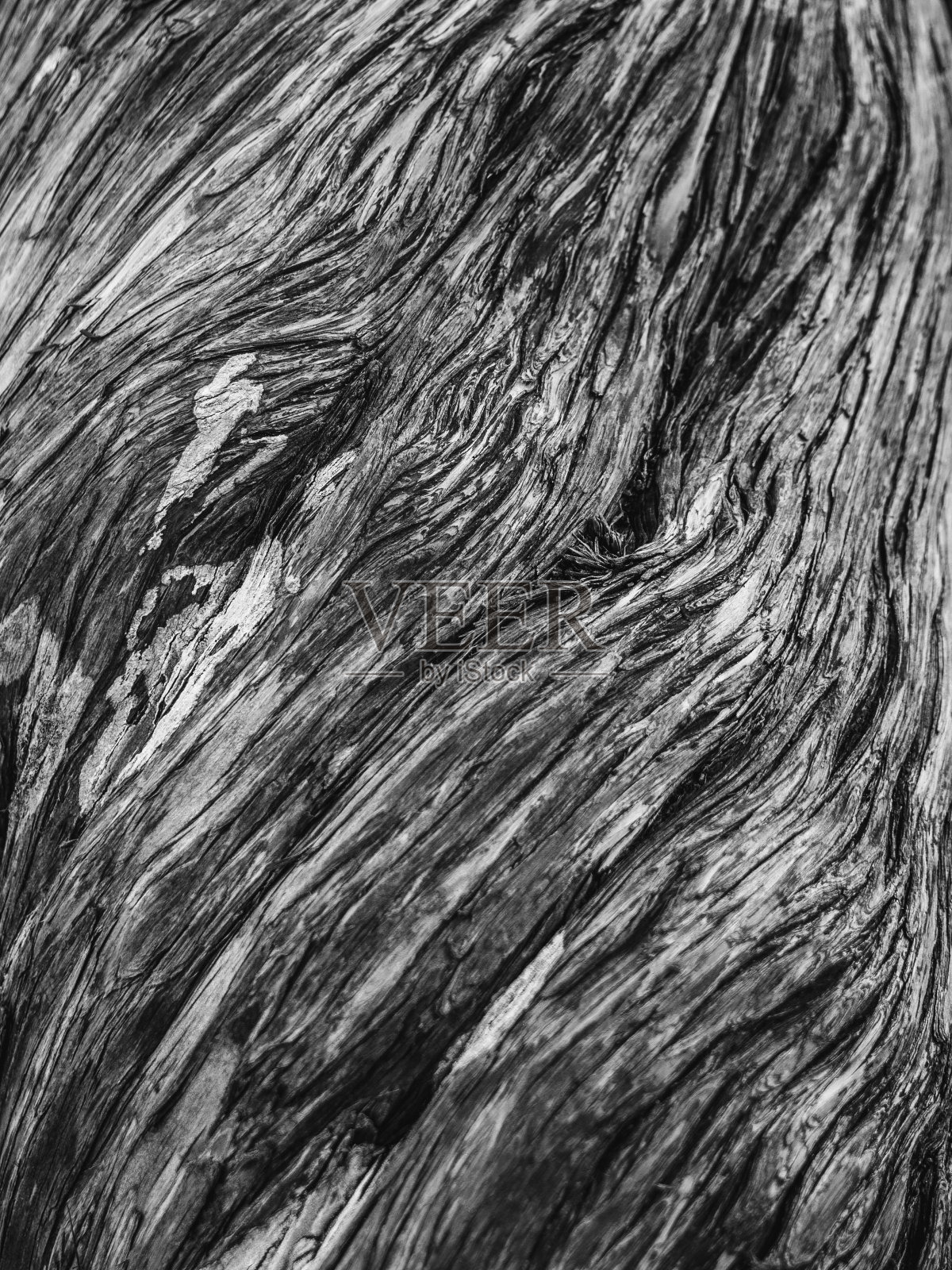 木照片摄影图片