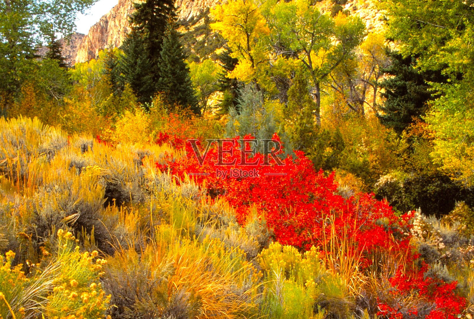 羊溪峡谷/火焰峡谷Nat休闲区/马尼拉，UT照片摄影图片