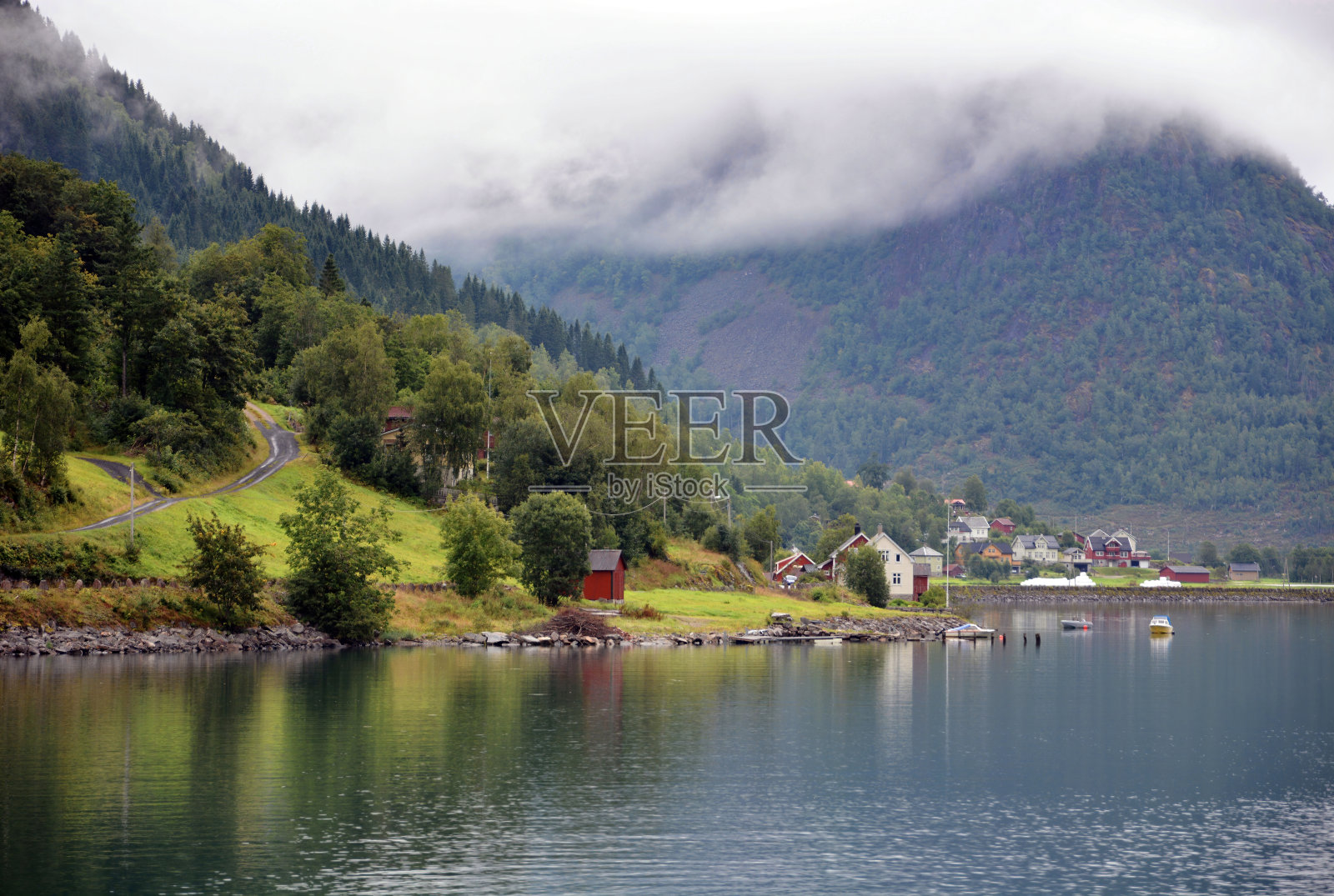 这是挪威维斯特兰fjaerlandsjorden河岸上美丽的绿色斜坡景观。照片摄影图片