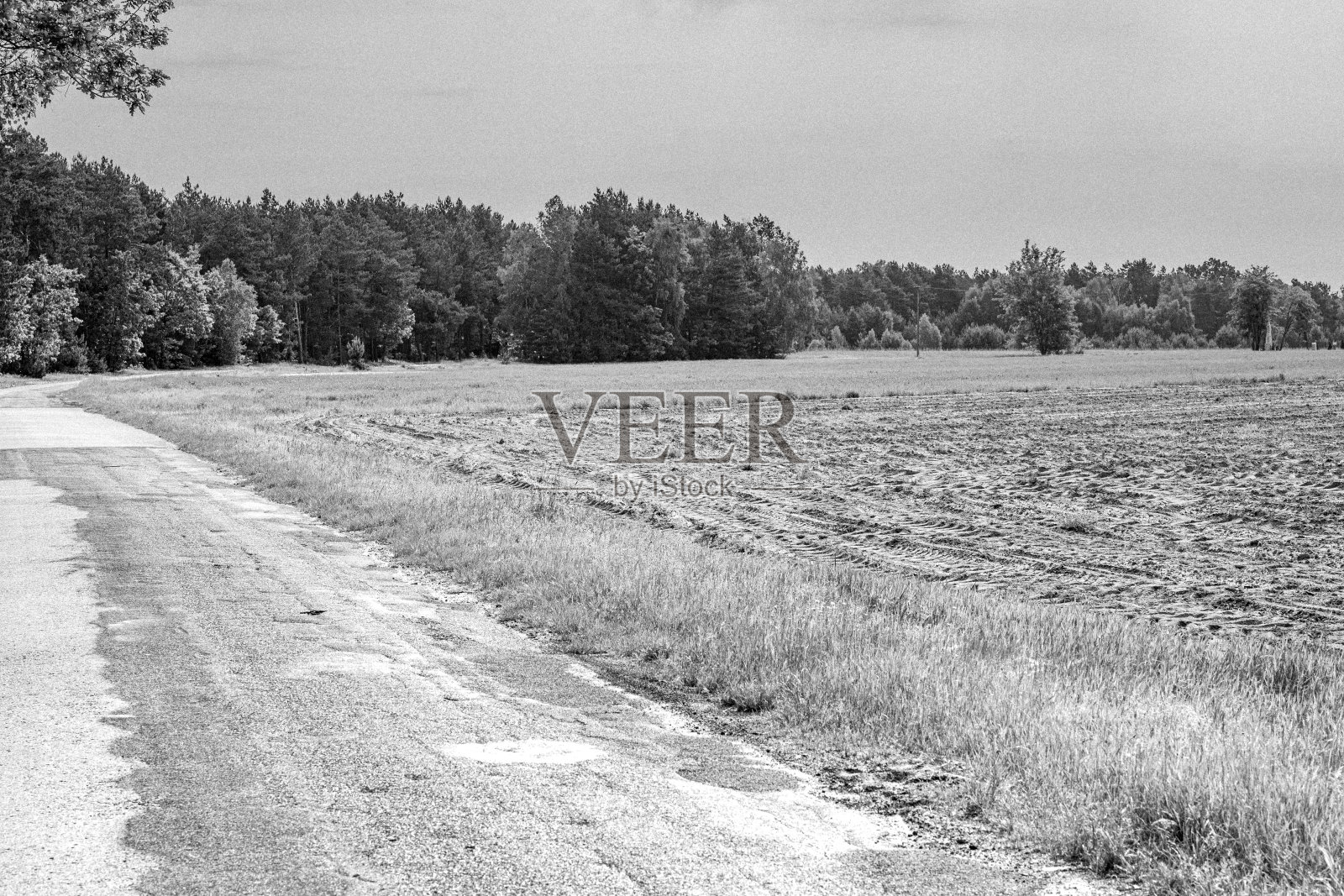 乡村柏油路在森林的边缘奔跑，由农田黑白照片，波兰人民共和国的气候照片摄影图片