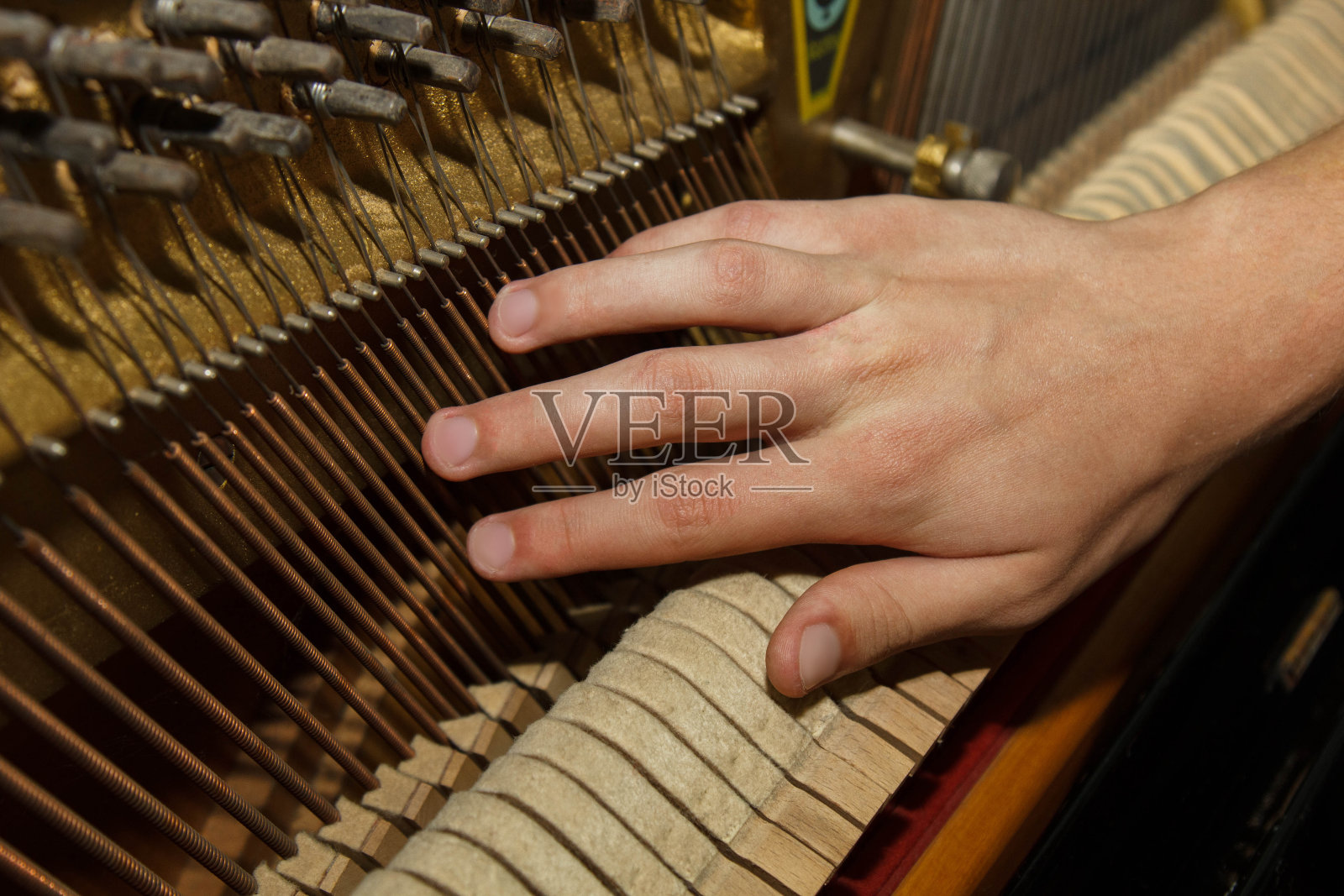 技术大师为客户检查钢琴。钢琴内部的特写。乐器修理。照片摄影图片