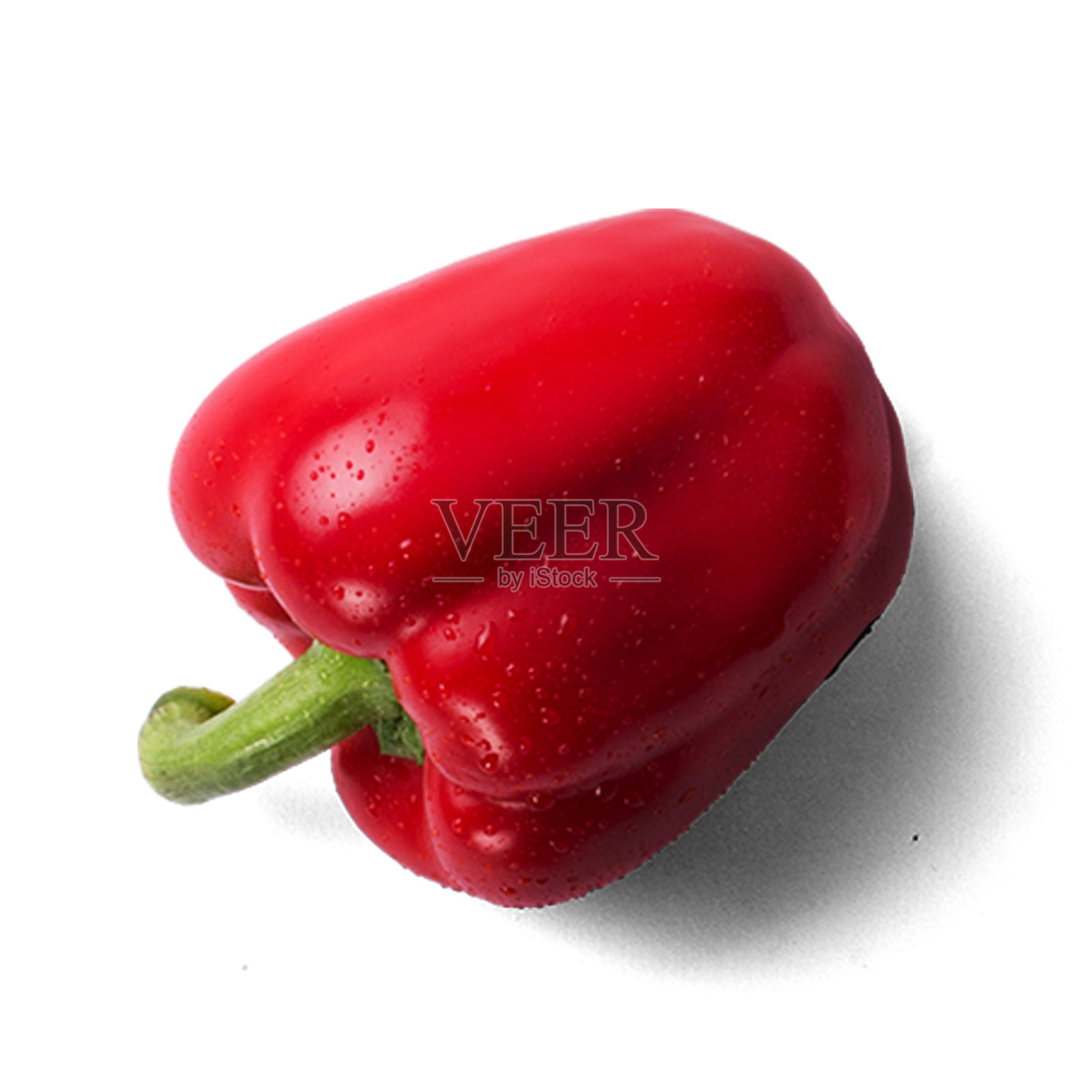 辣辣椒隔离在白色背景为您的资产设计。照片摄影图片