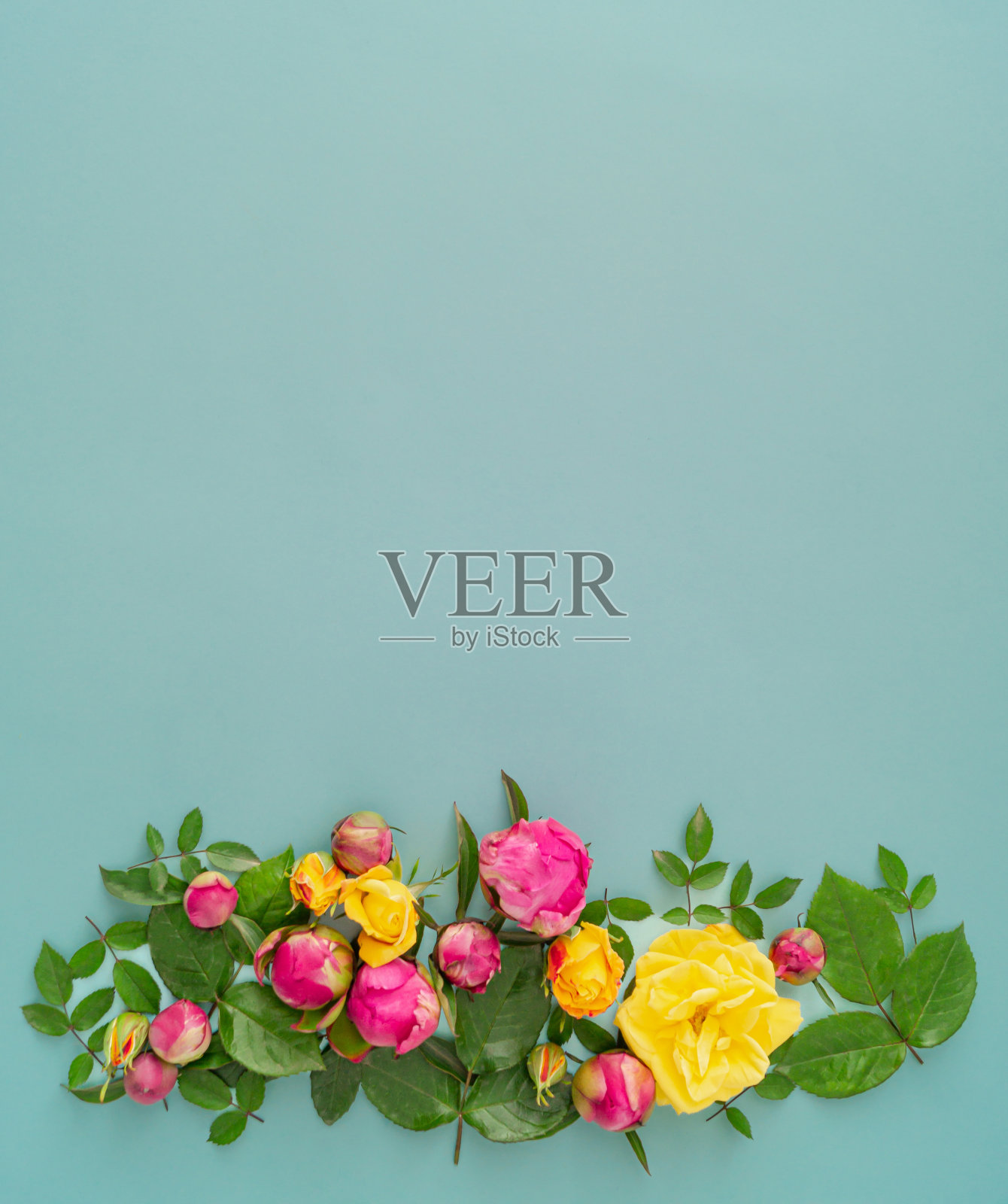 创意布局，色彩缤纷的花朵和树叶。自然的概念。平的。花的审美。照片摄影图片