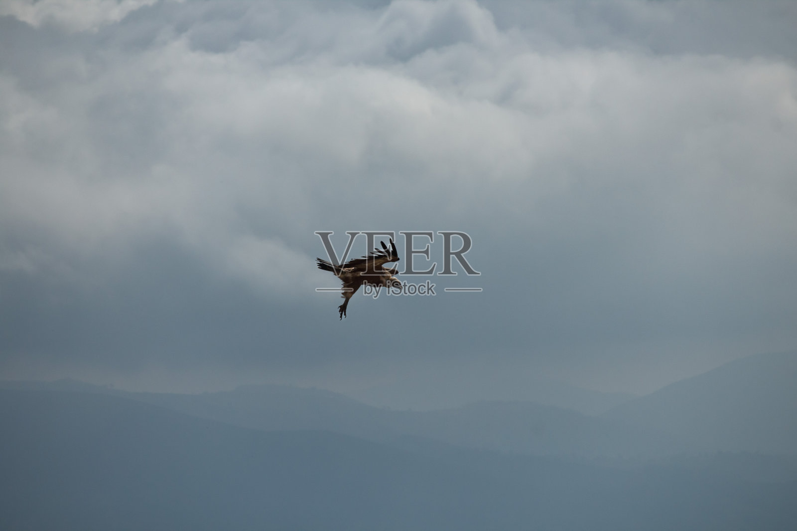 西班牙阿尔科伊，阴云威胁风暴的背景下，狮鹫秃鹫在着陆位置照片摄影图片