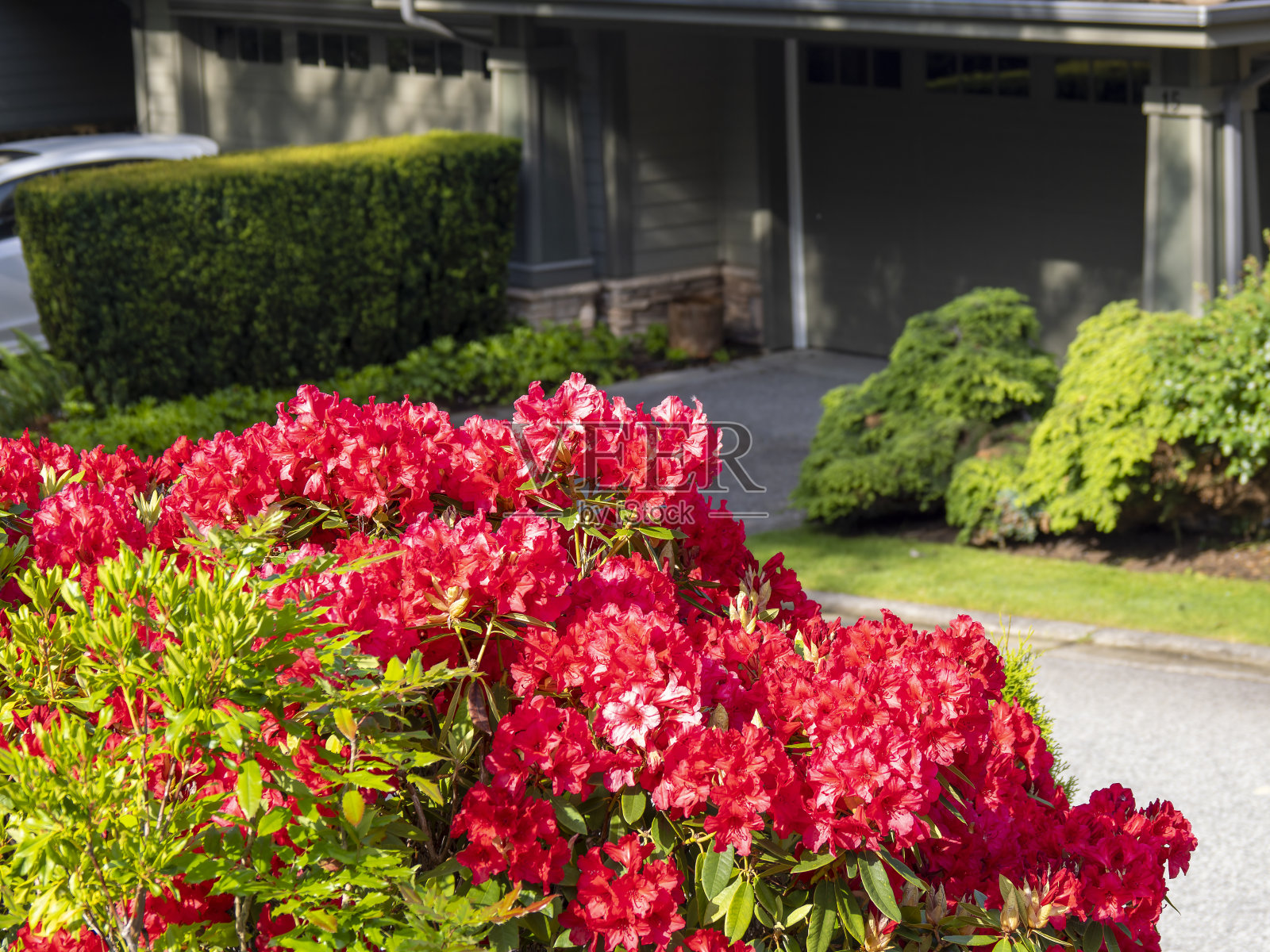 Oliver's Landing在Furry Creek社区照片摄影图片