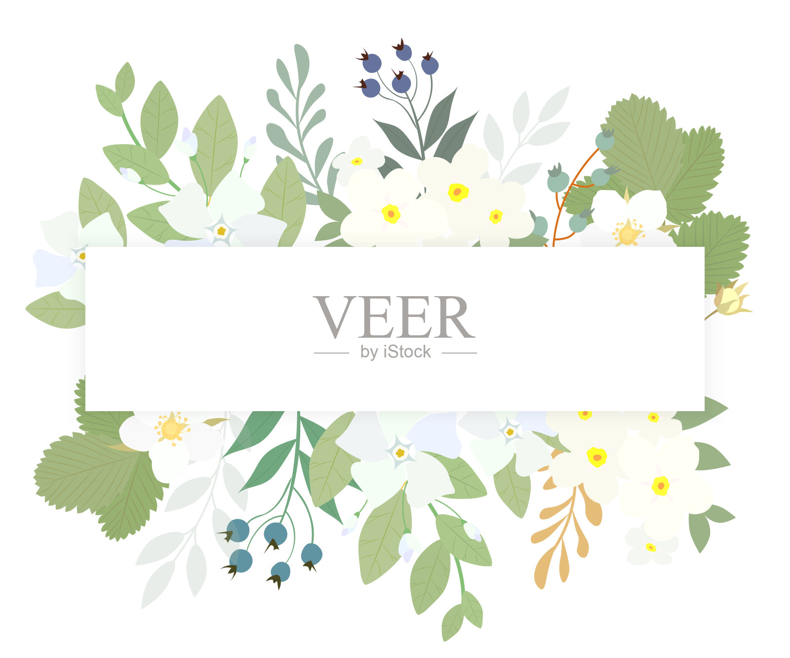 矩形框架与花园的花朵和浆果隔离在白色的背景插画图片素材