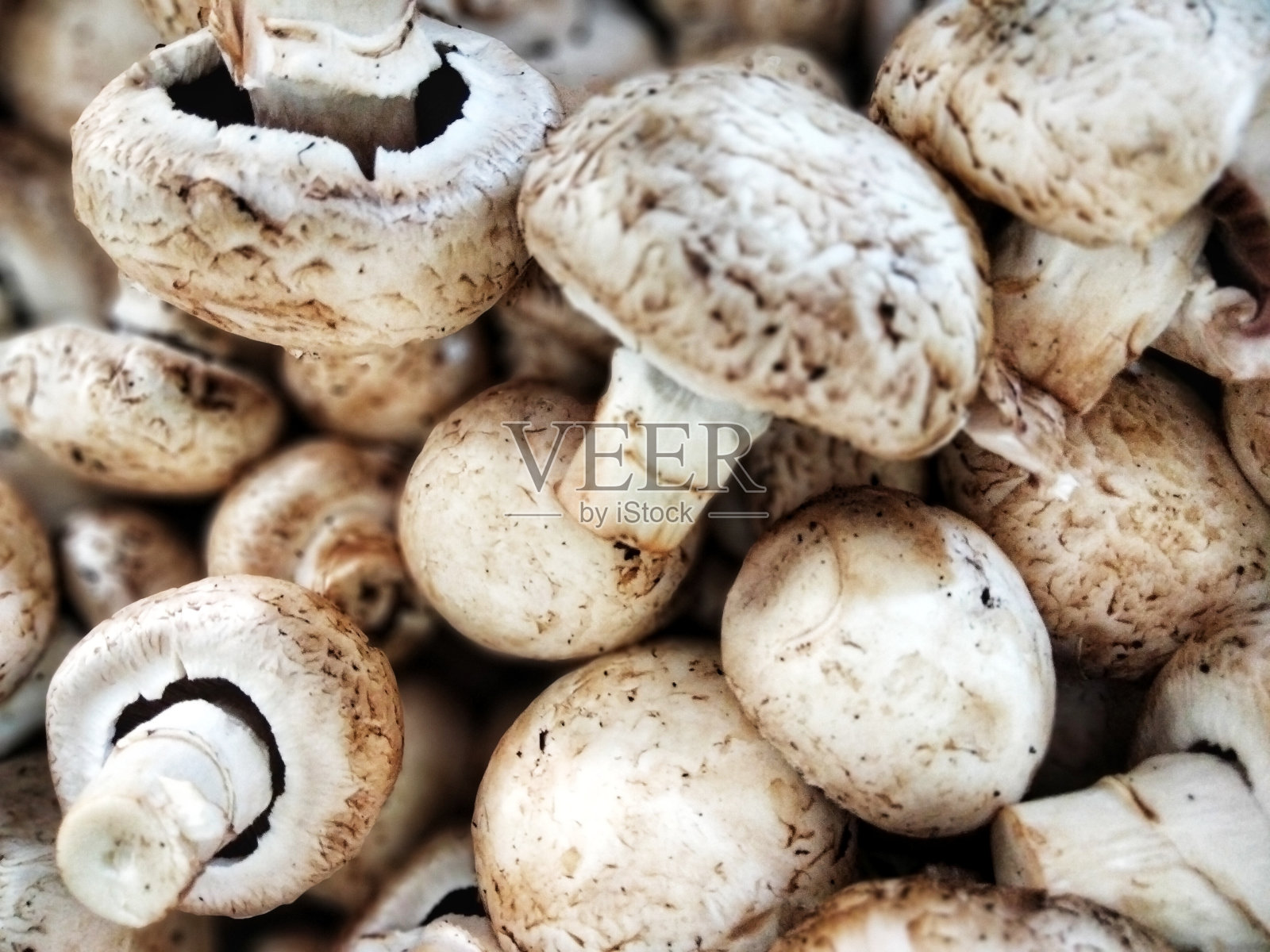 蘑菇背景堆照片摄影图片