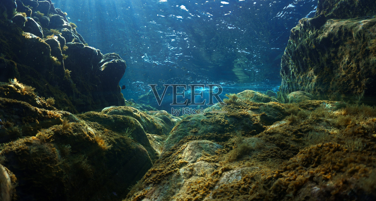 水下景观上的阳光照片摄影图片