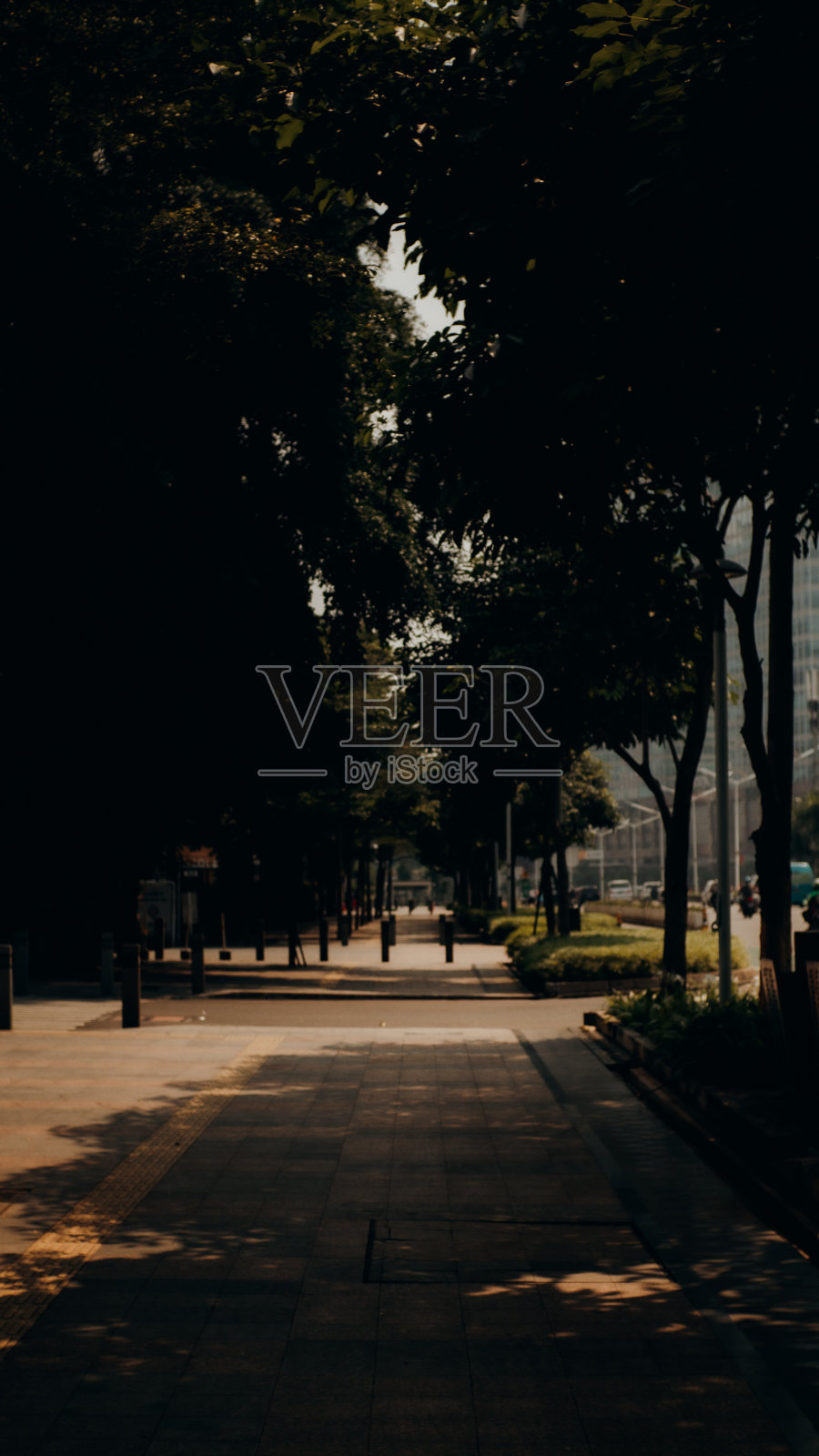 树影照片摄影图片