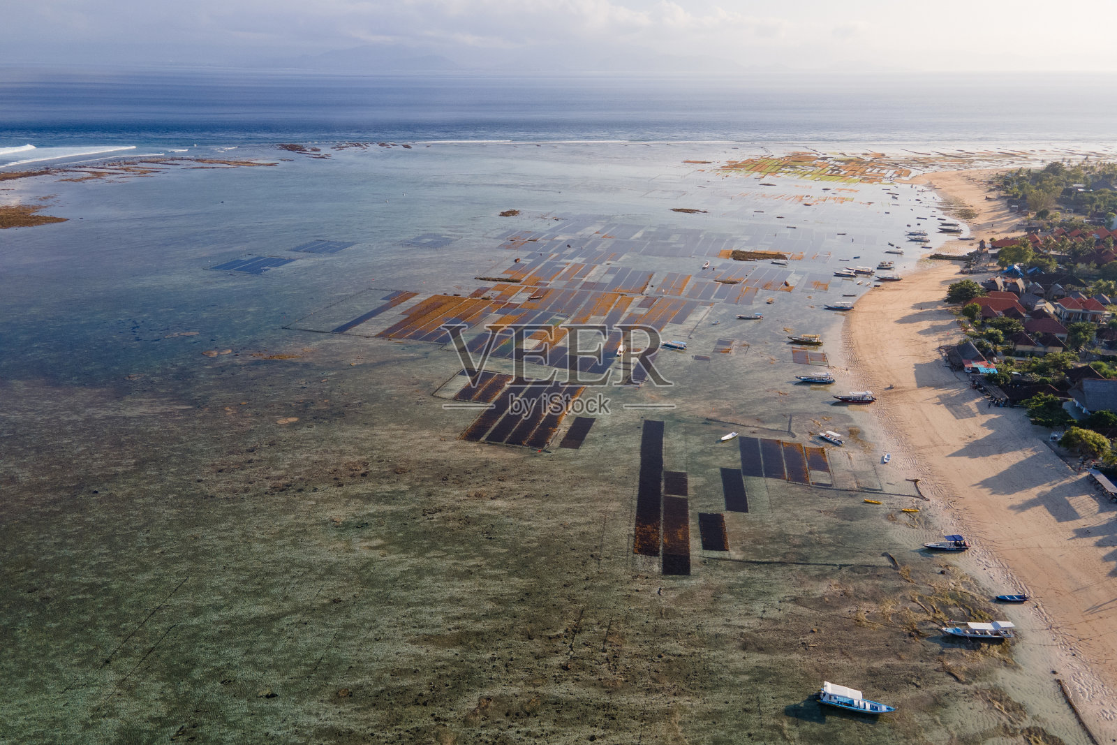 鸟瞰Nusa Lembongan海藻养殖场照片摄影图片