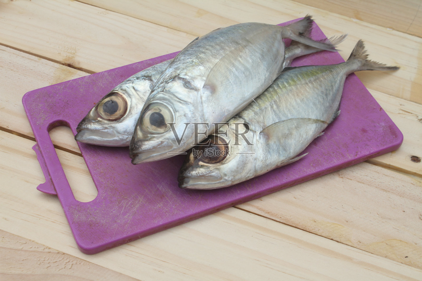 生鲭鱼照片摄影图片