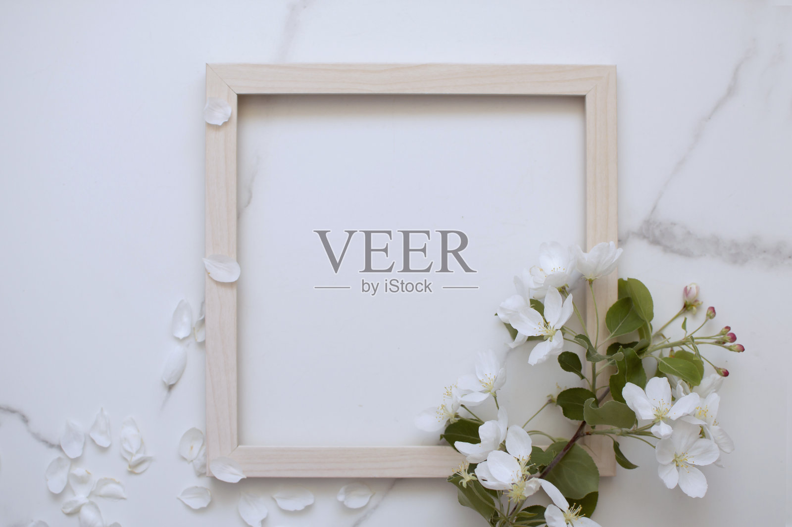 简约的明信片布局与苹果树枝，花，平面，顶视图照片摄影图片