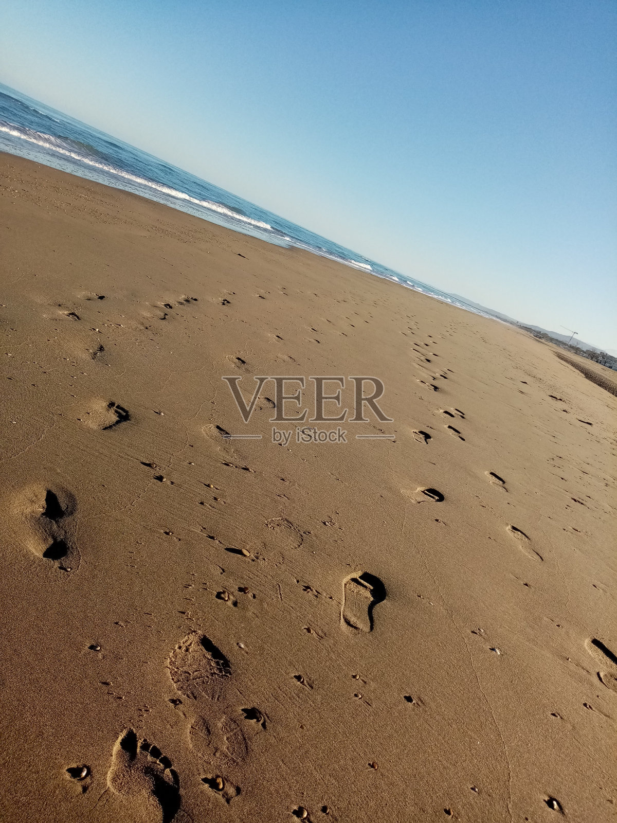 让我们改进一下苏拉·萨比亚照片摄影图片