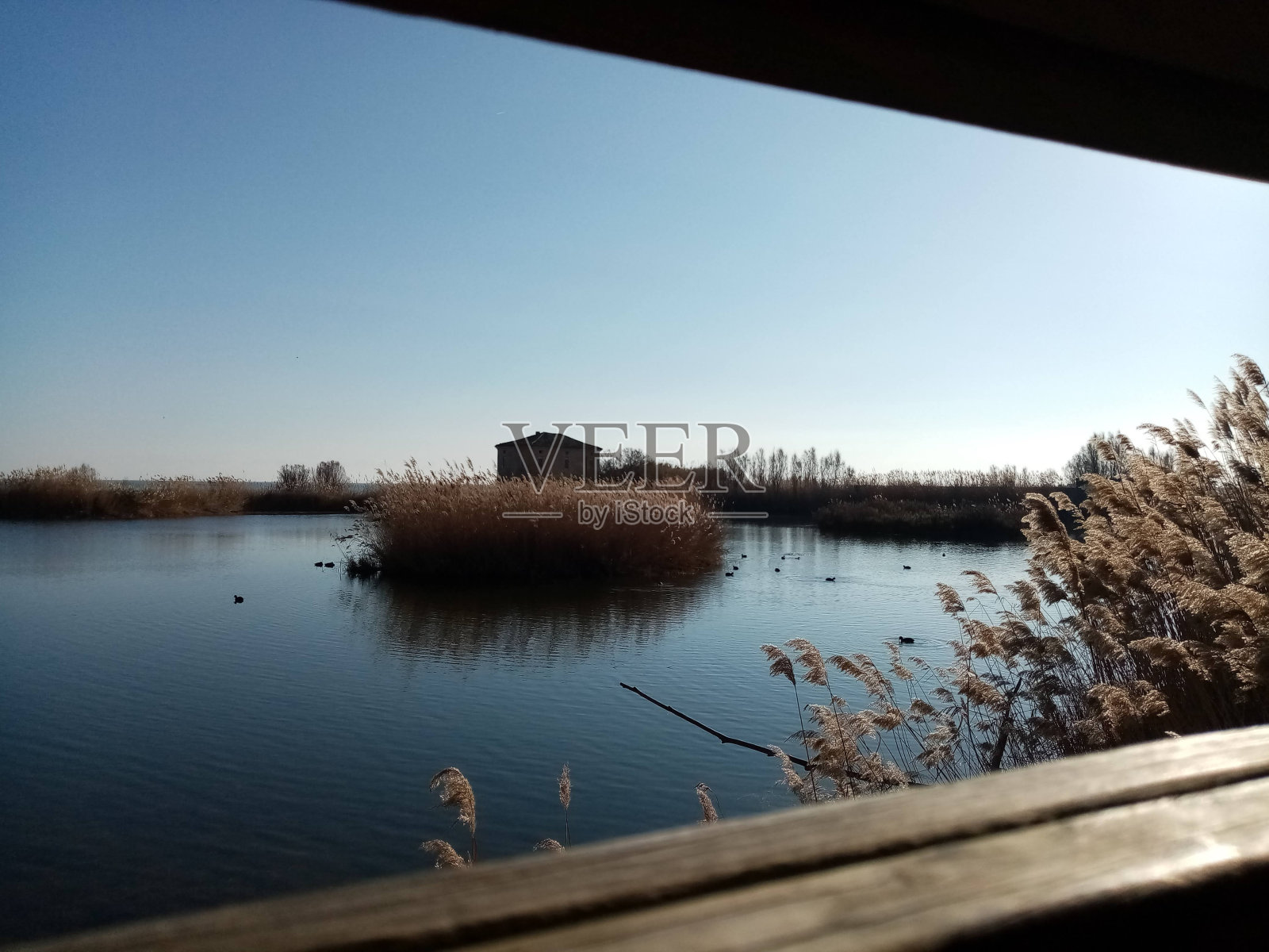 森提纳自然保护区的一瞥照片摄影图片