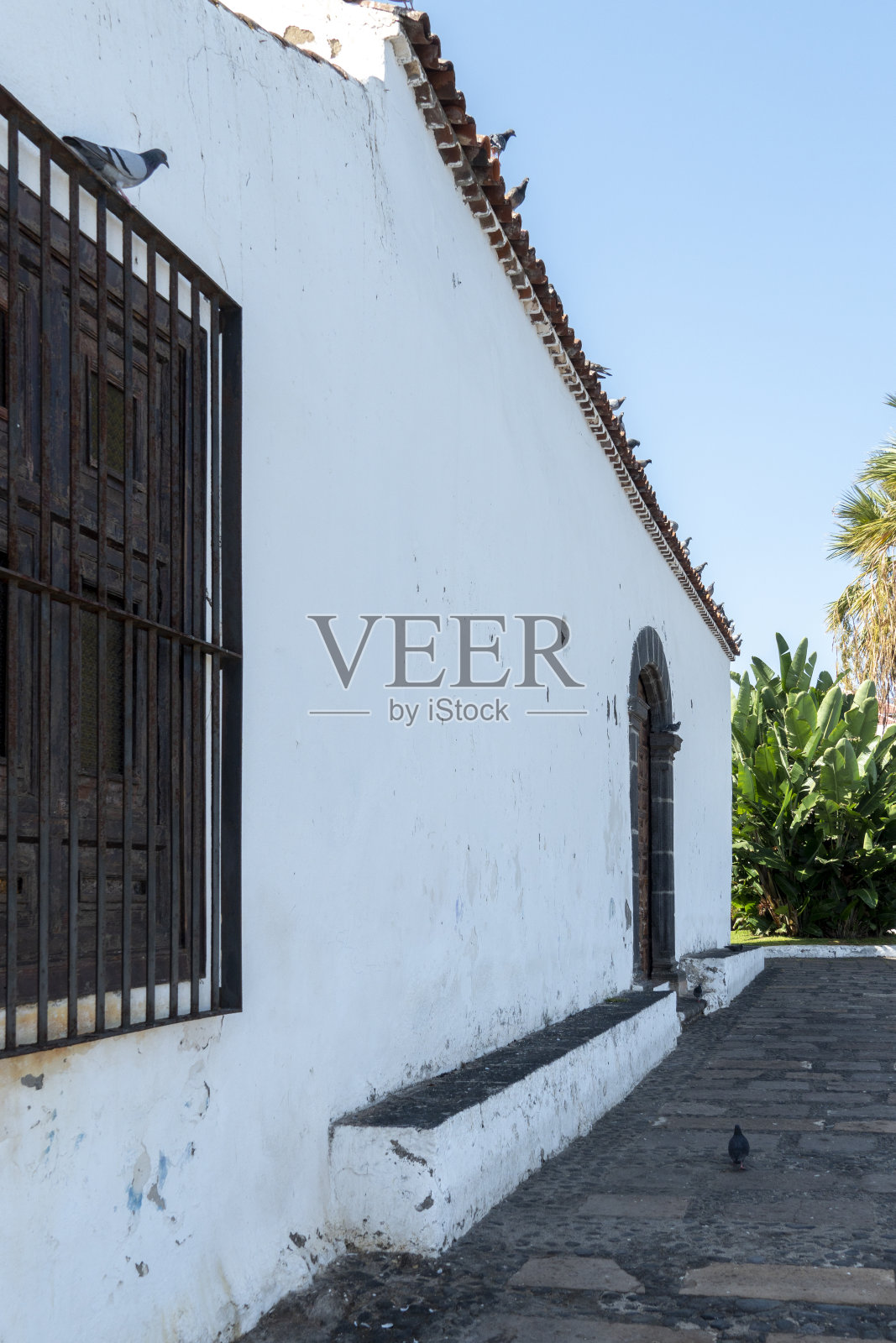 西班牙加那利群岛特内里费岛照片摄影图片