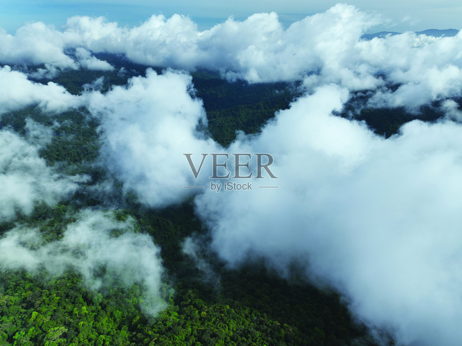 空中俯瞰的流动的雾波在山区热带雨林，云中鸟瞰图像在泰国的云和山峰令人惊叹的自然背景照片摄影图片