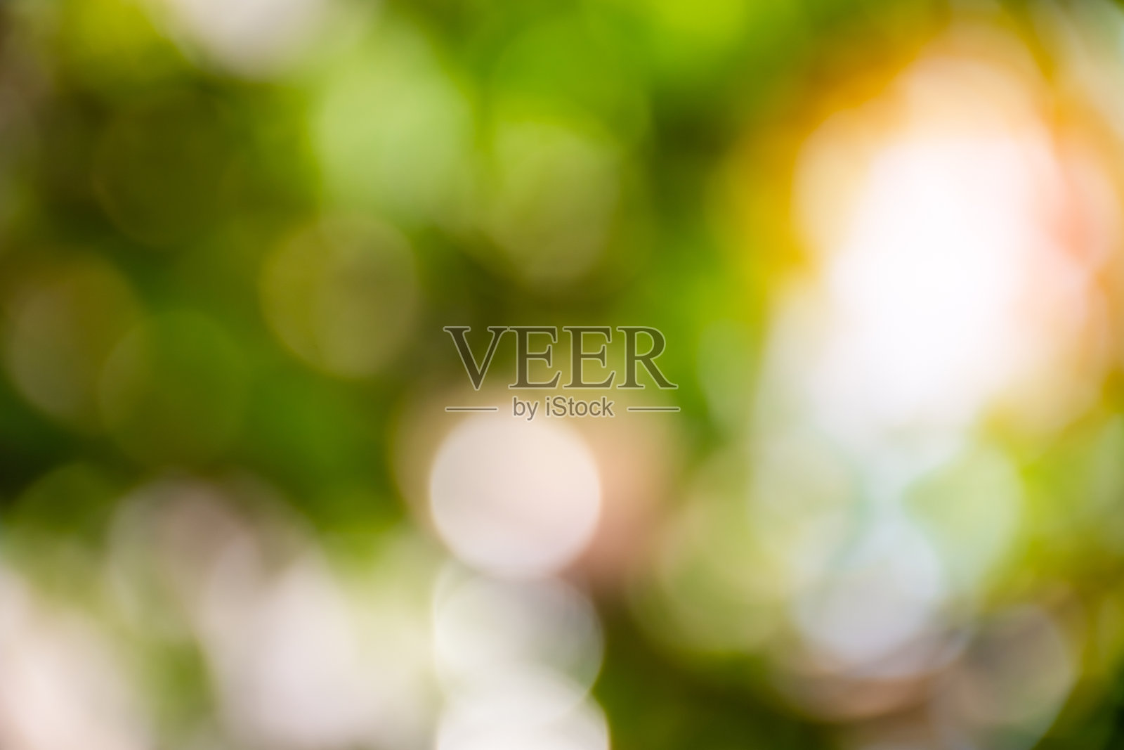 白天在室外，公园里的空气很新鲜。设计概念模糊和散焦效果的季节。抽象散景绿色彩色为自然背景。照片摄影图片