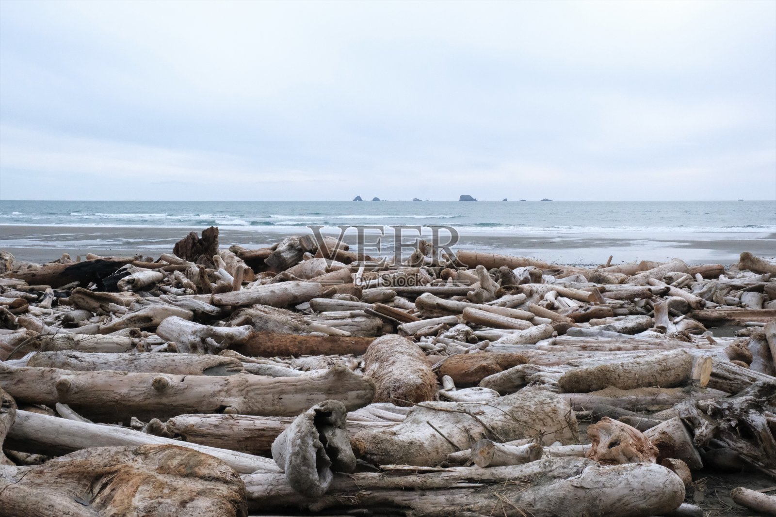 美国俄勒冈州布兰科角州立海滩照片摄影图片